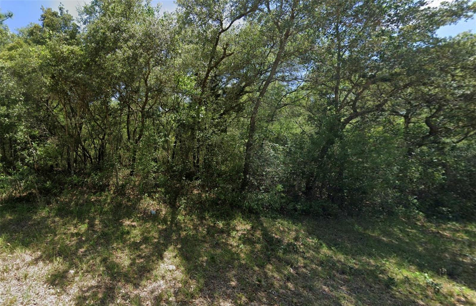 3908 W TROPIC LN, DUNNELLON, FL — photo 14