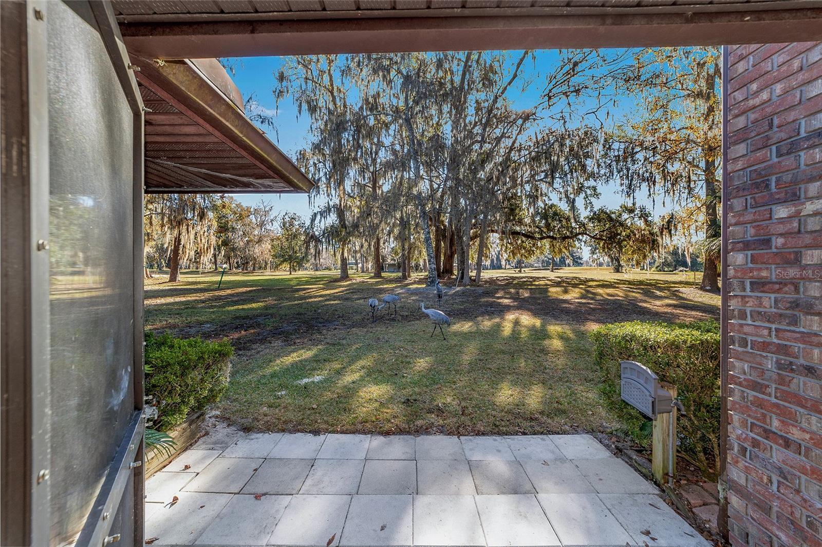 6015 SW 36TH WAY, GAINESVILLE, FL — photo 52