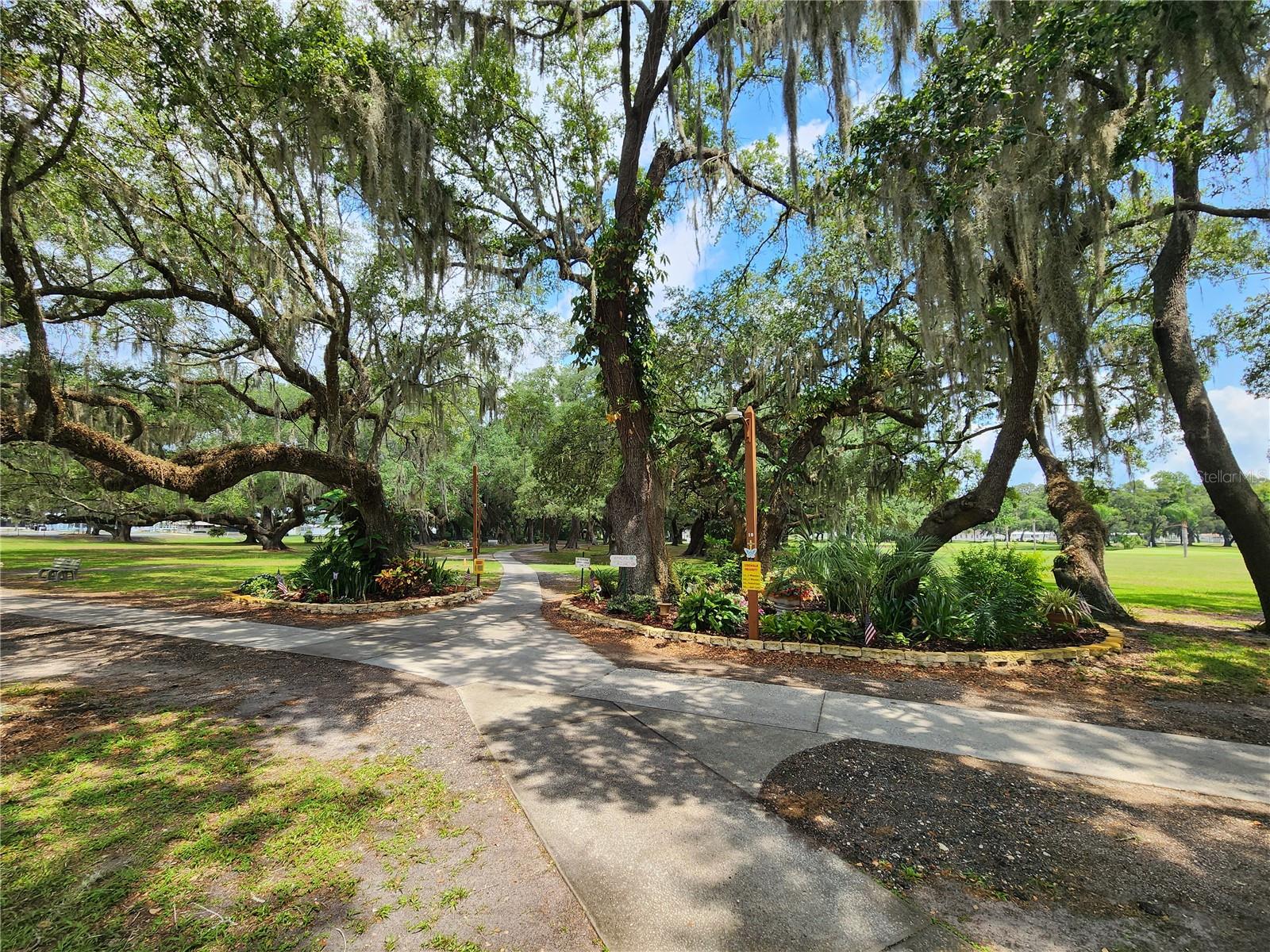 5105 CURRAN ST, ZEPHYRHILLS, FL — photo 50