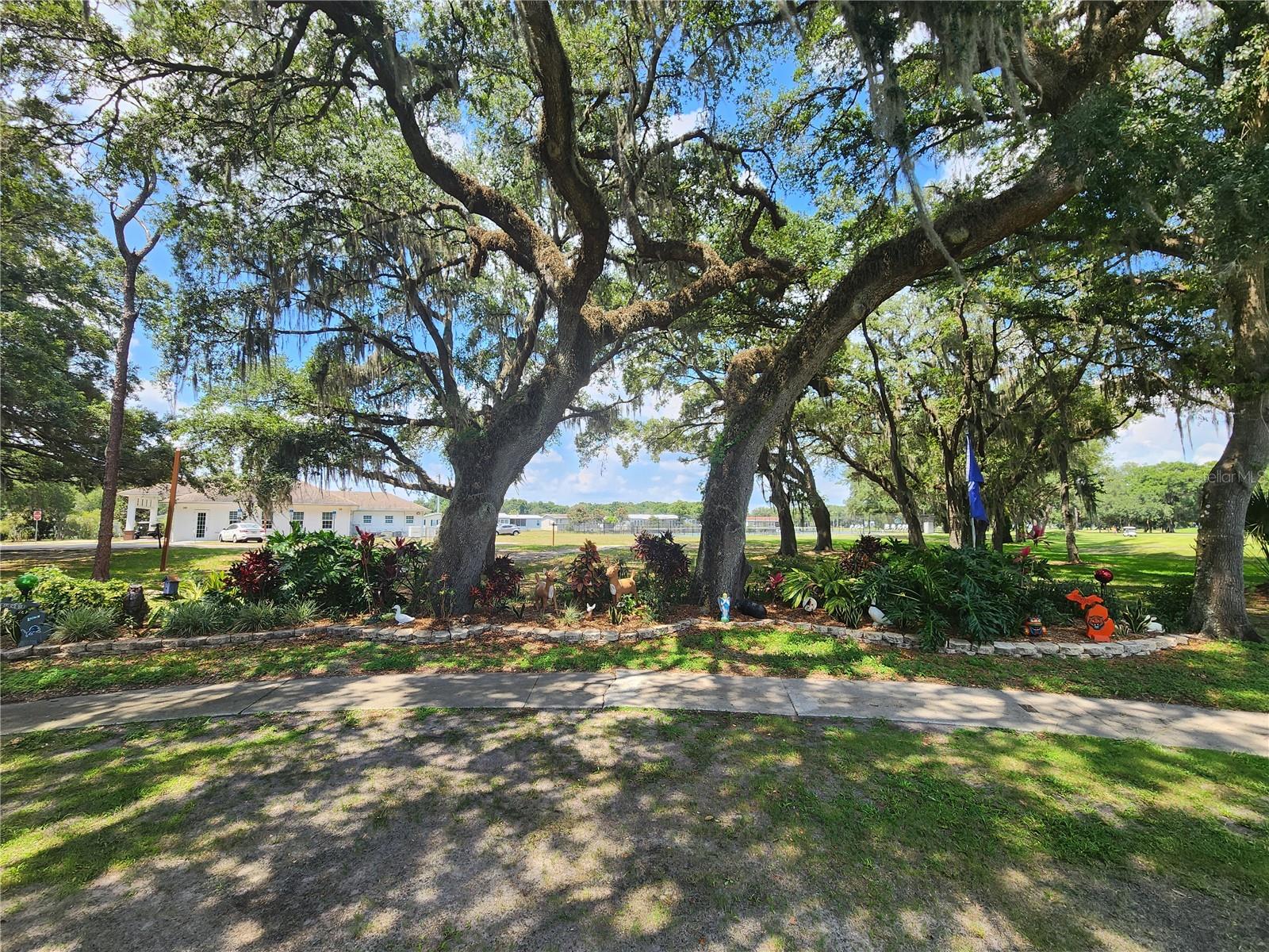 5105 CURRAN ST, ZEPHYRHILLS, FL — photo 62