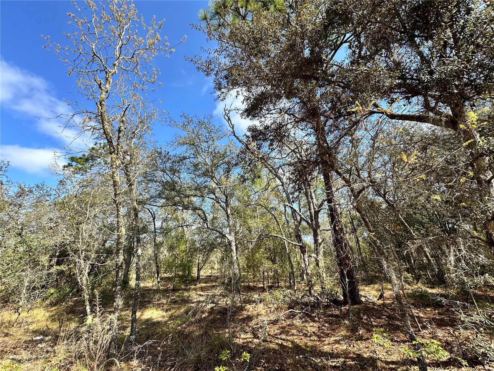 TBD NE 68TH PL, BRONSON, FL