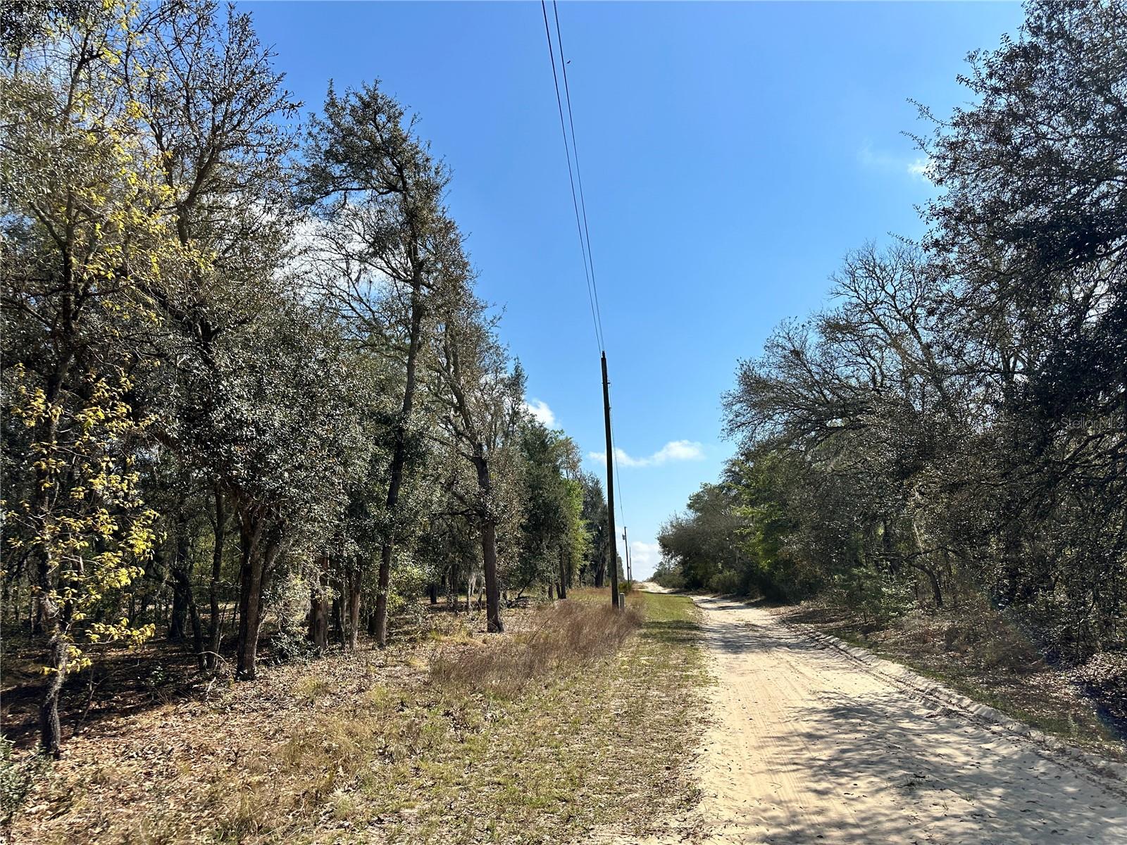 TBD NE 68TH PL, BRONSON, FL — photo 2