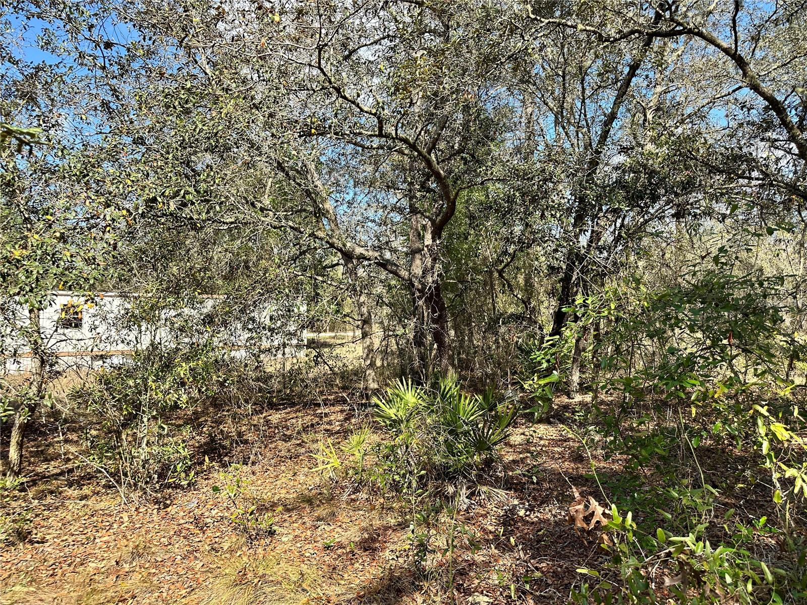 TBD NE 68TH PL, BRONSON, FL — photo 8