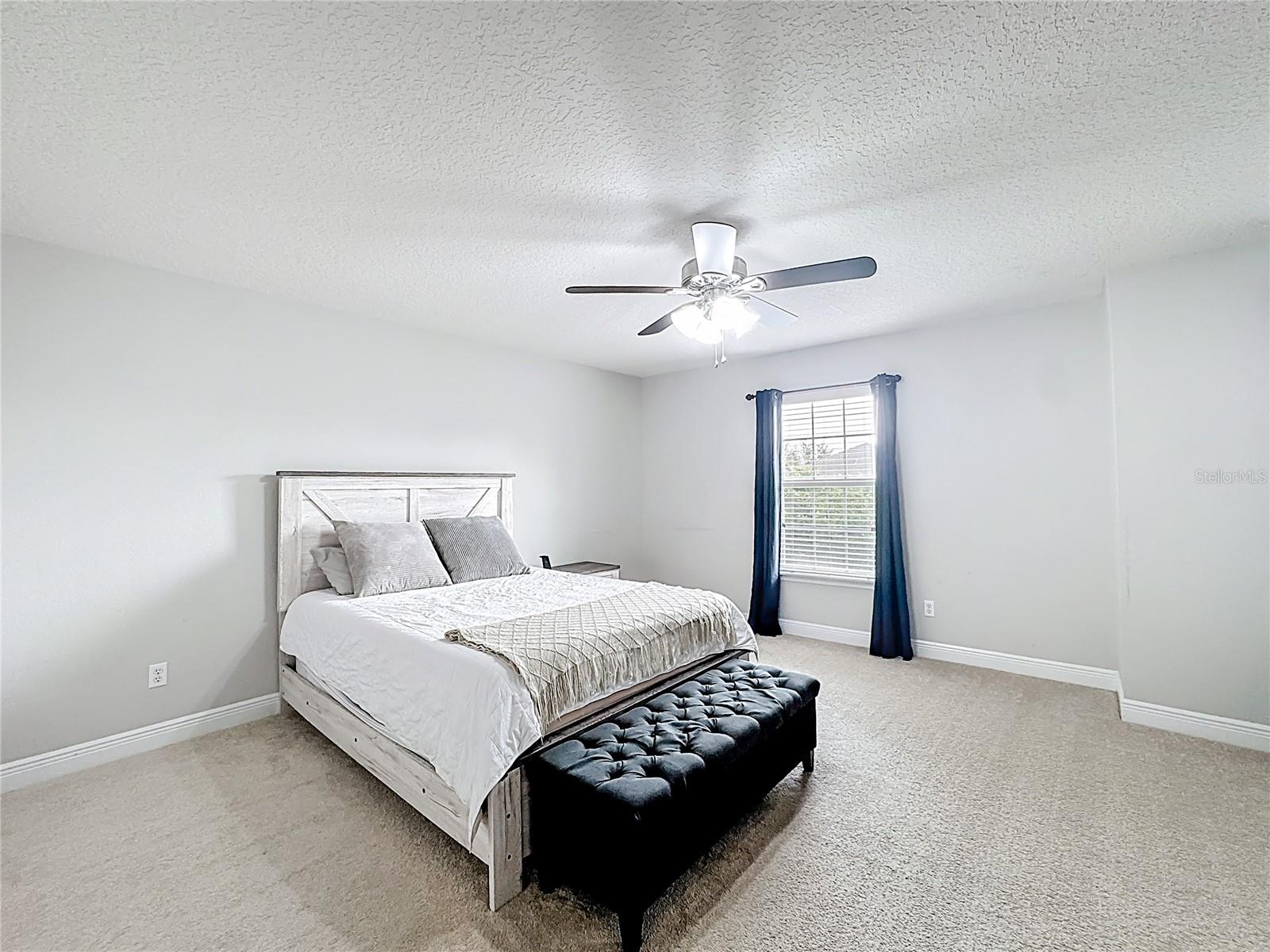 30409 TOKARA TER, MOUNT DORA, FL — photo 19