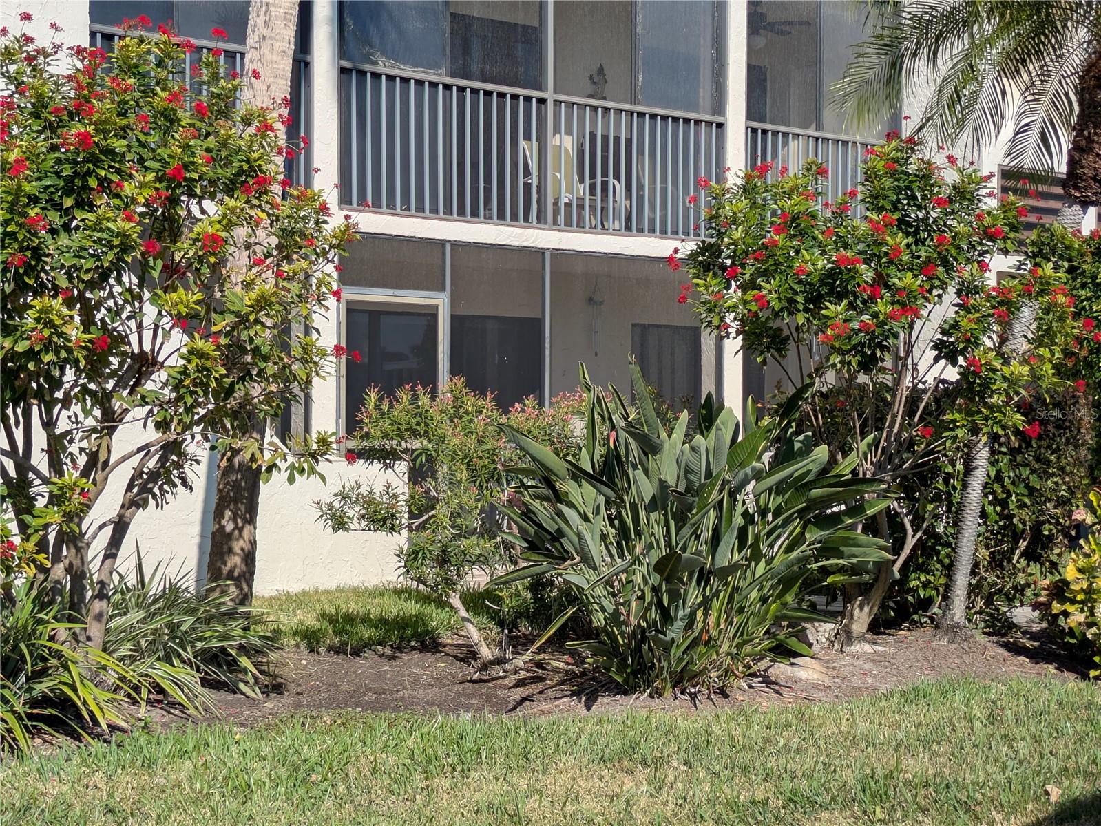 6114 43RD ST W #106E, BRADENTON, FL — photo 4