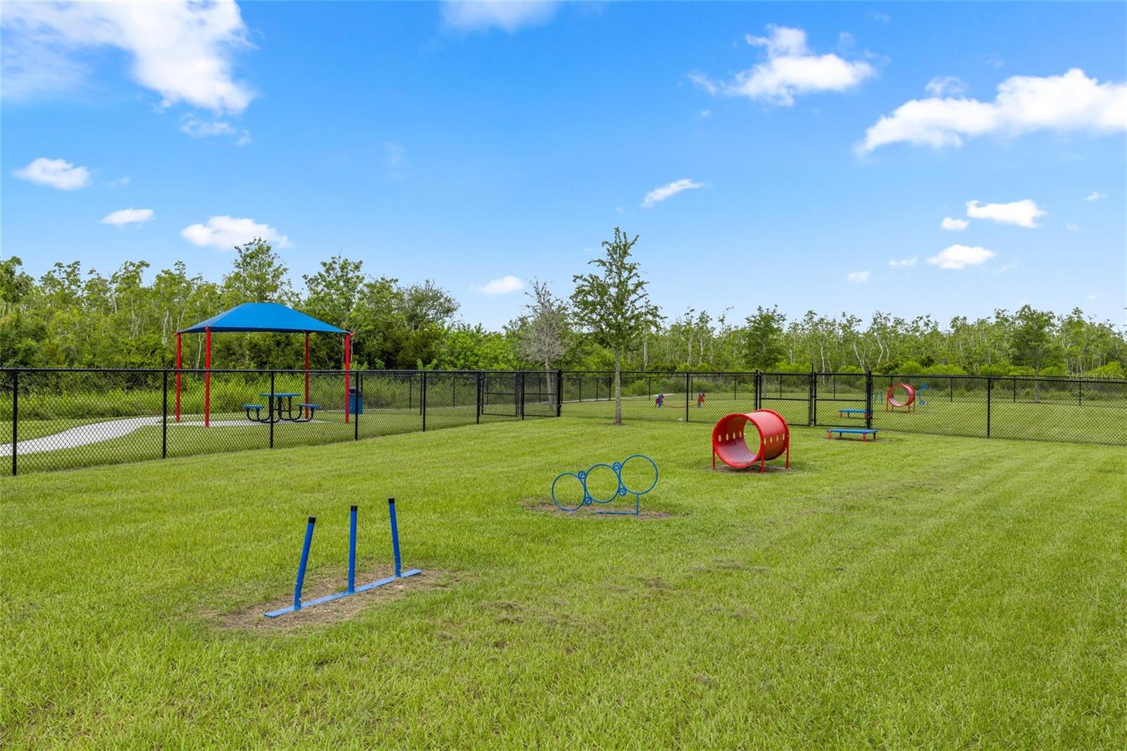 3509 YARIAN DR, HAINES CITY, FL — photo 43