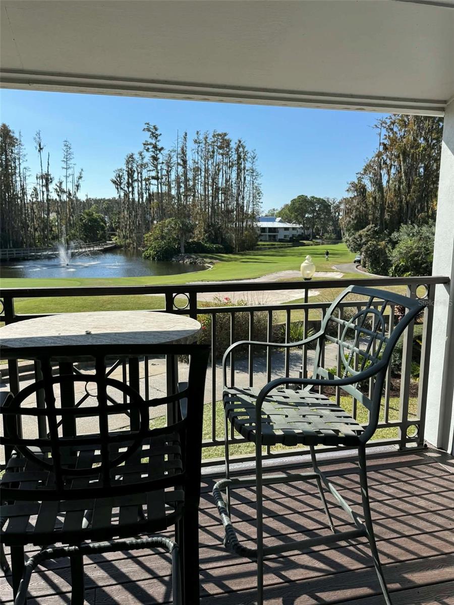 4762 FOX HUNT DR #A304 & A302, WESLEY CHAPEL, FL — photo 63