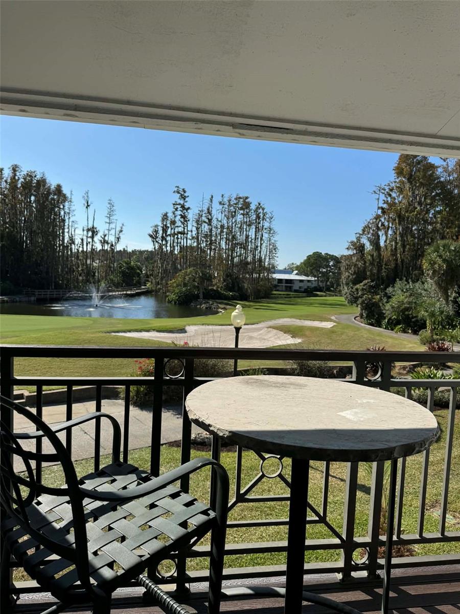 4762 FOX HUNT DR #A304 & A302, WESLEY CHAPEL, FL — photo 79
