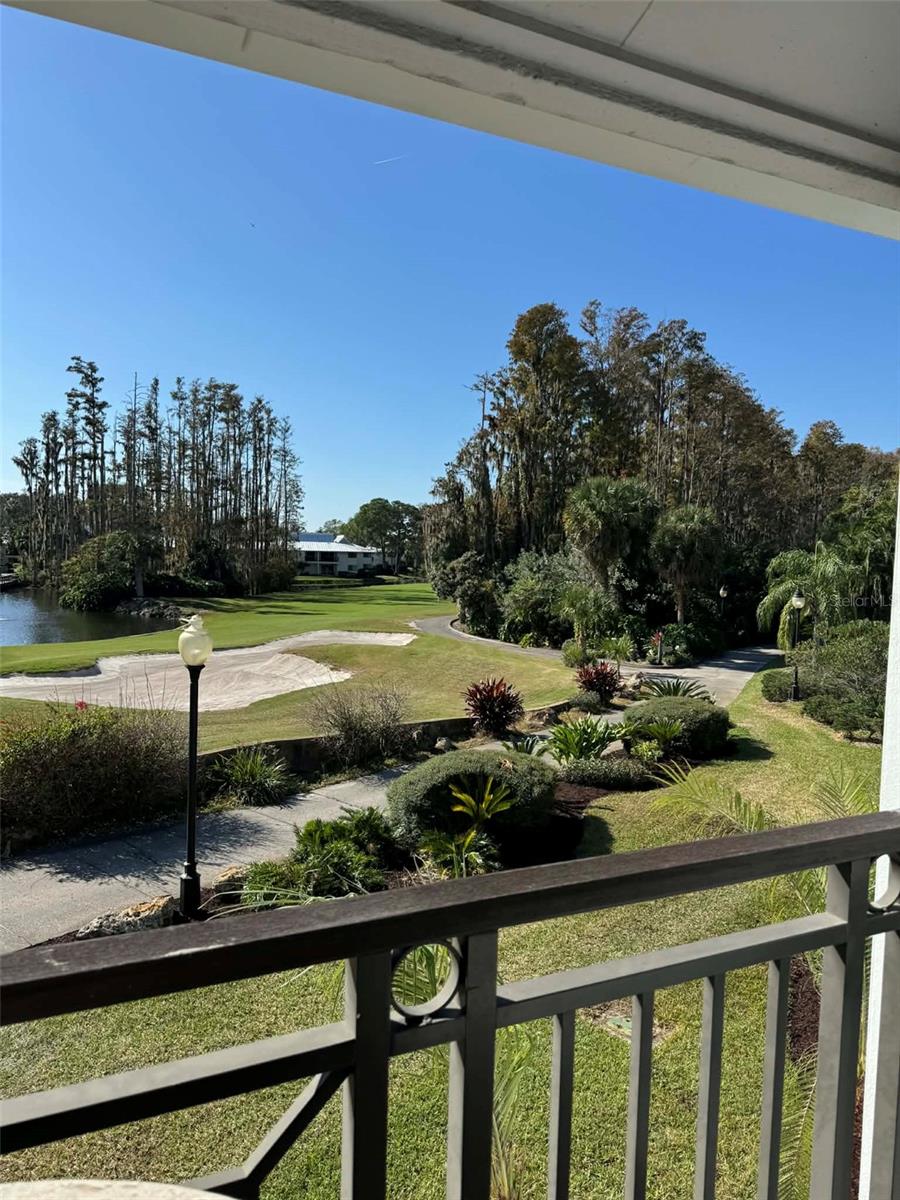 4762 FOX HUNT DR #A304 & A302, WESLEY CHAPEL, FL — photo 81