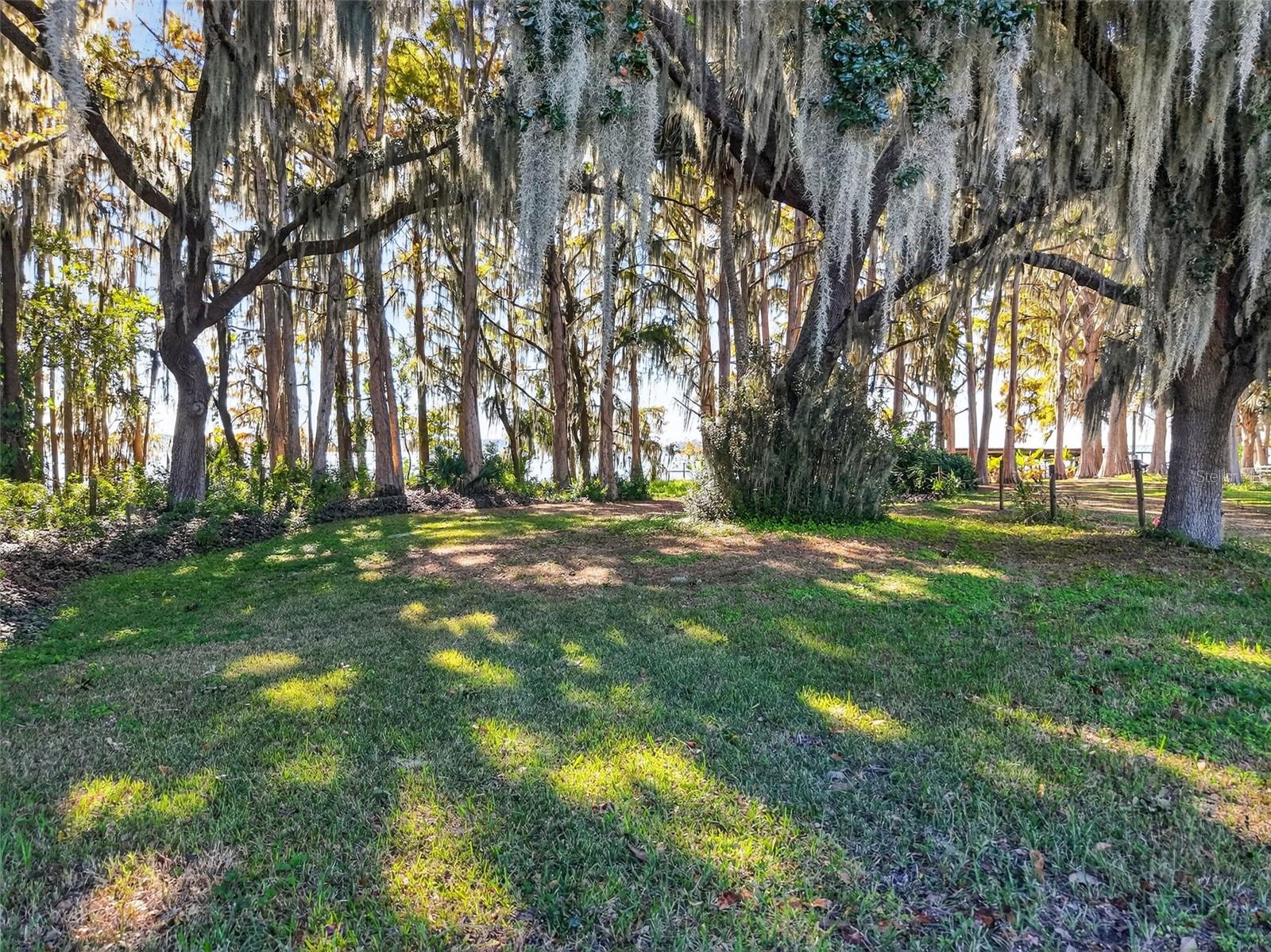 11911 LANE PARK ROAD, TAVARES, FL — photo 4