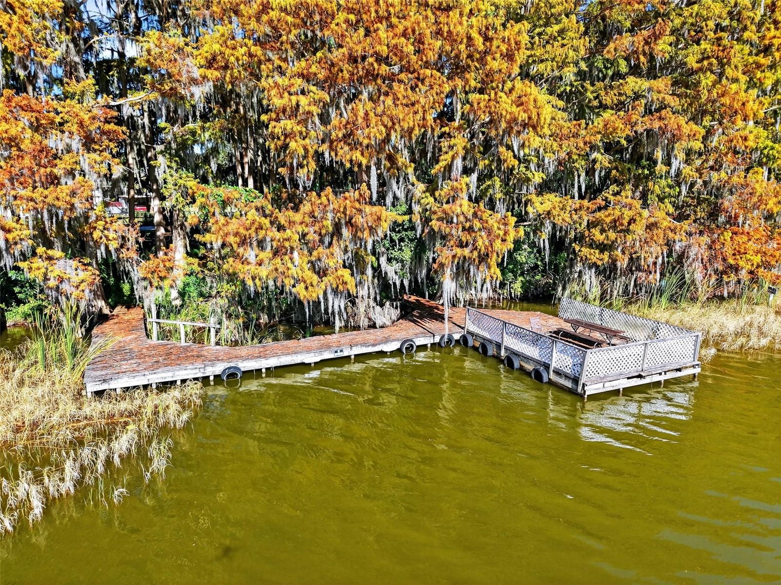 11911 LANE PARK ROAD, TAVARES, FL — photo 52