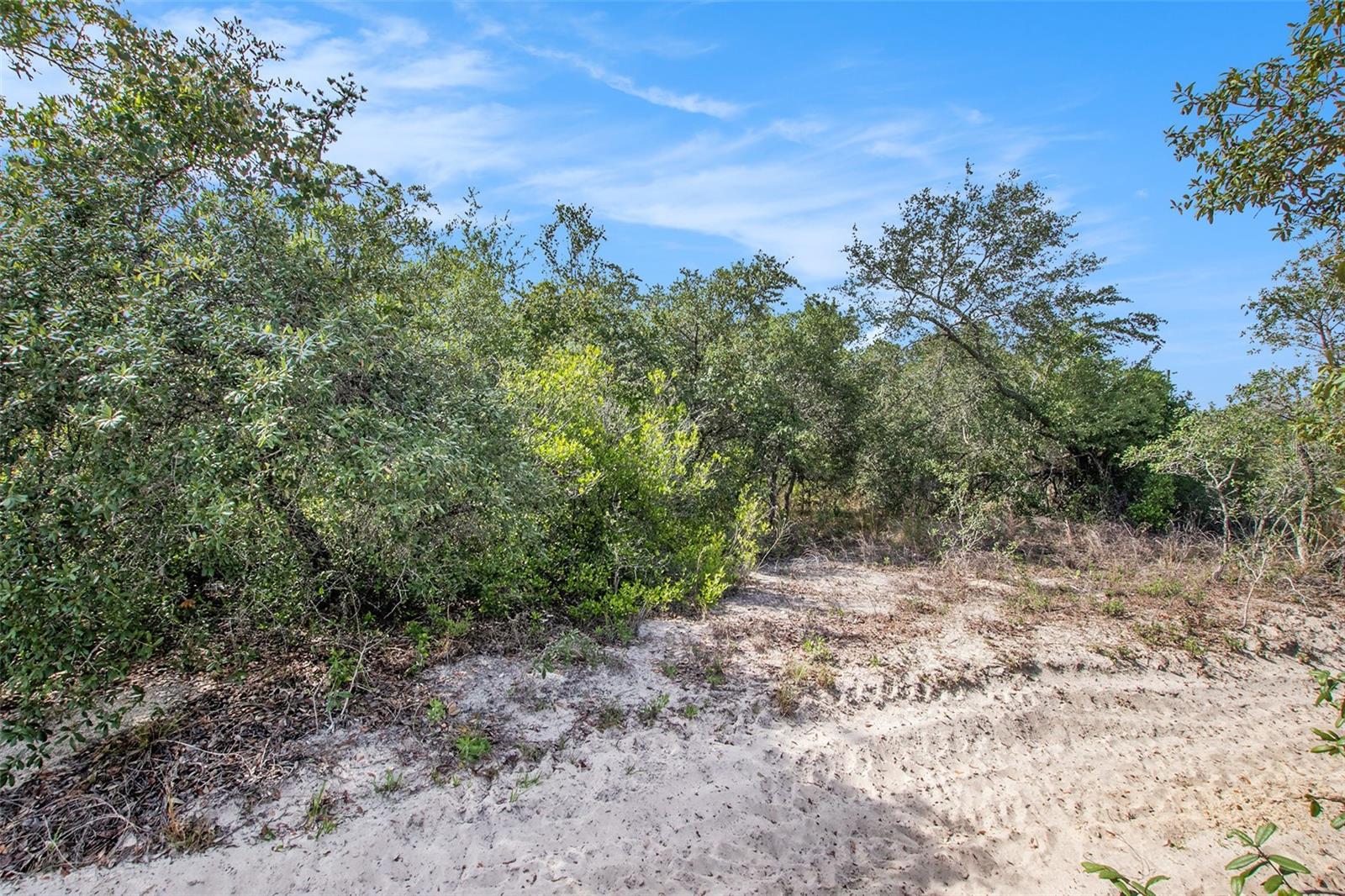 0 SHADY HILLS, SPRING HILL, FL — photo 14