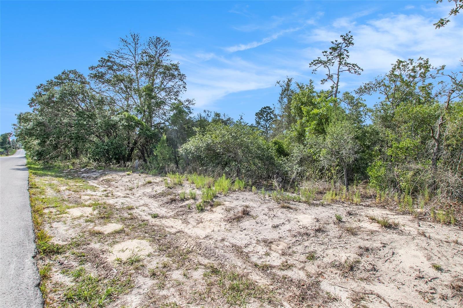 0 SHADY HILLS, SPRING HILL, FL — photo 15