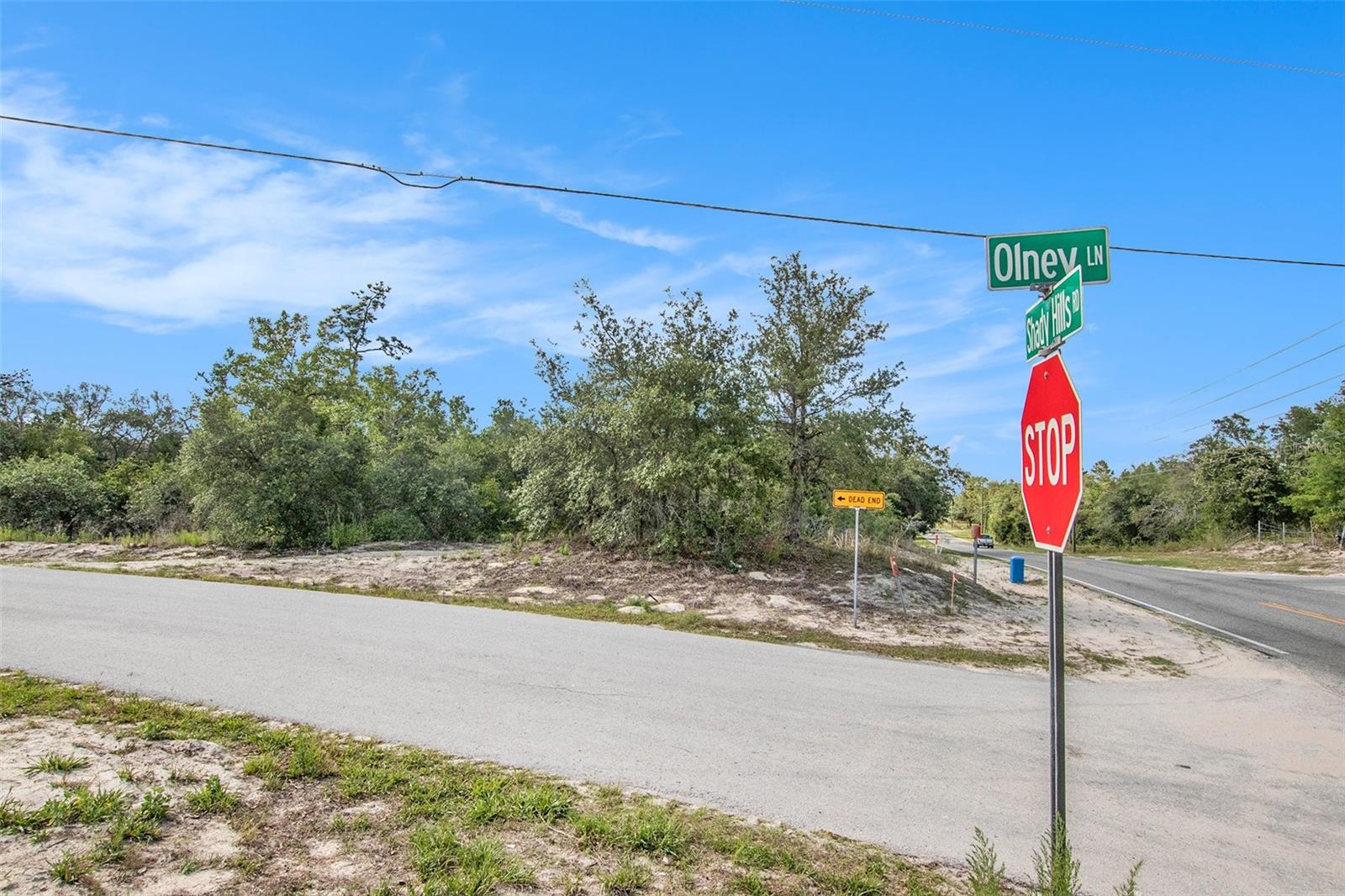 0 SHADY HILLS, SPRING HILL, FL — photo 16