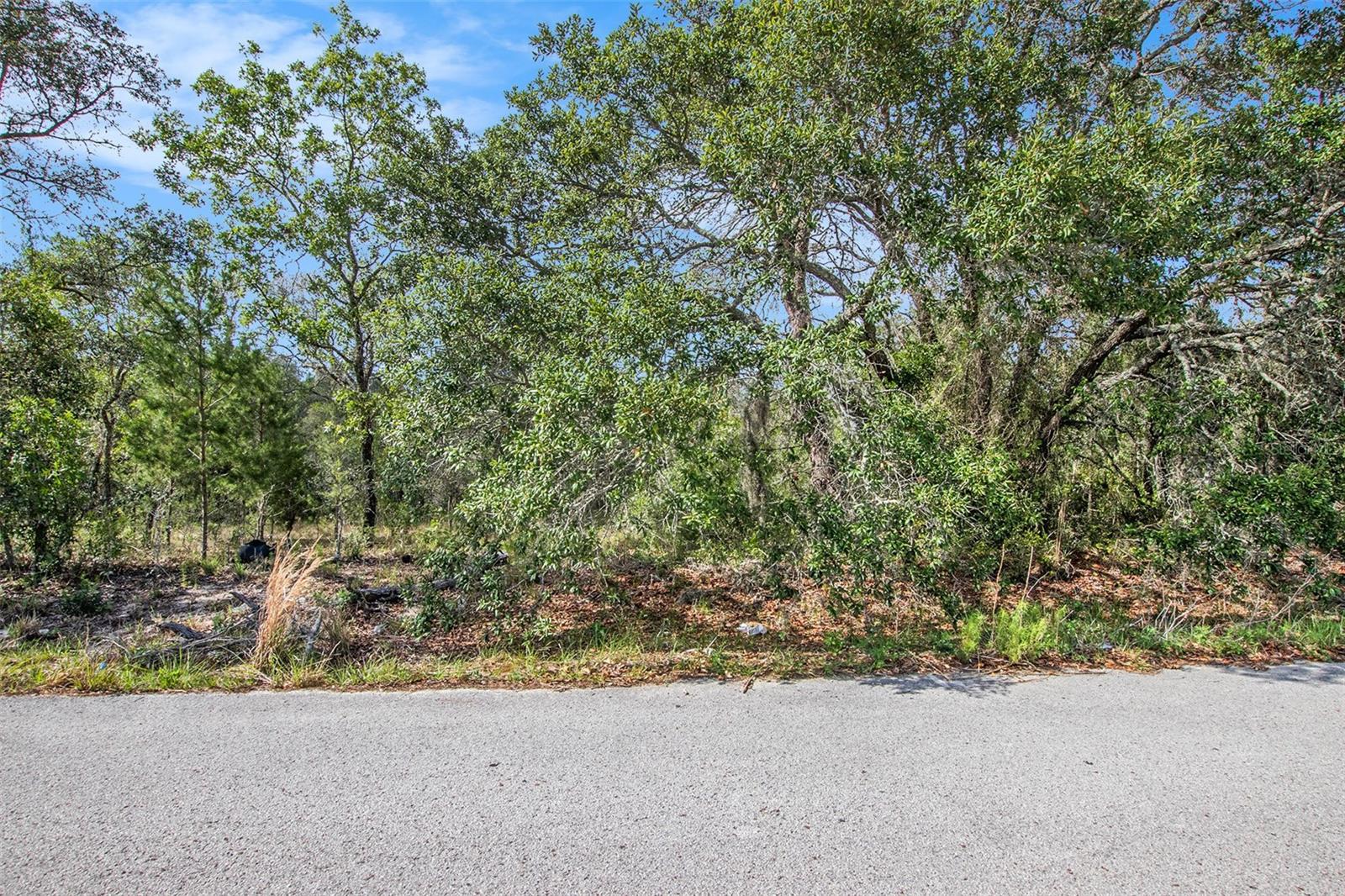 0 SHADY HILLS, SPRING HILL, FL — photo 19
