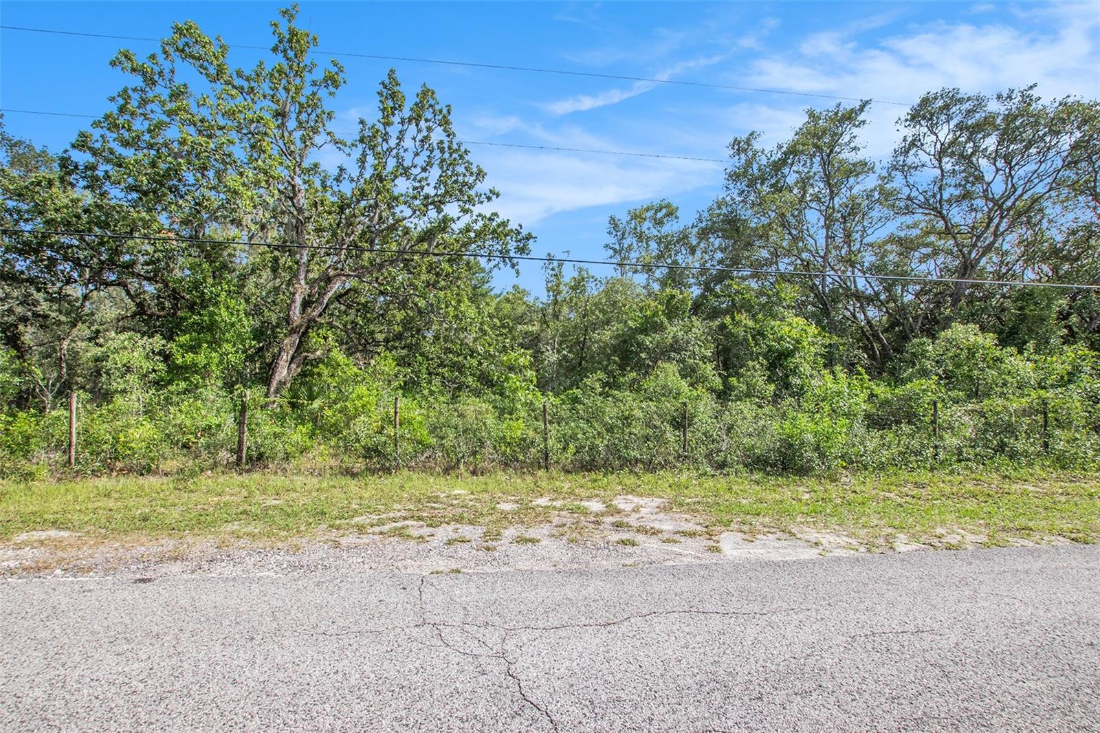0 SHADY HILLS, SPRING HILL, FL — photo 23