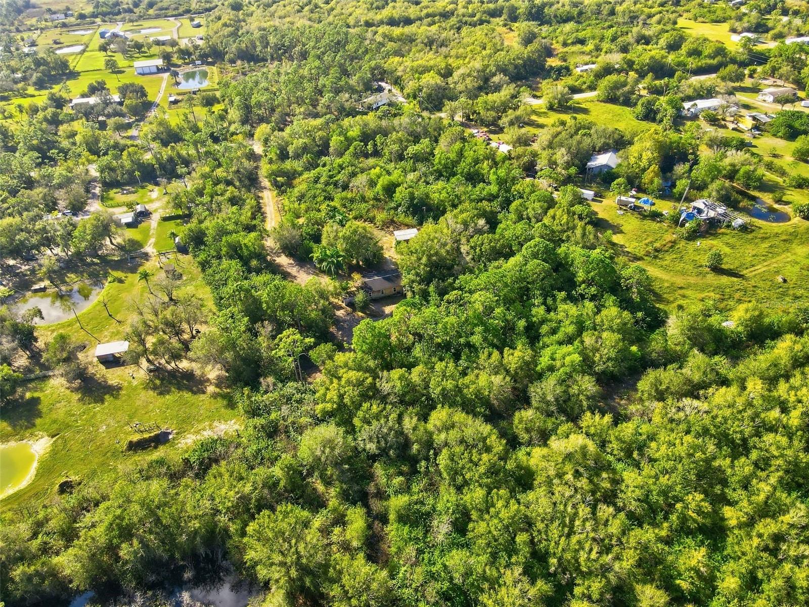 39970 LITTLE FARM RD, PUNTA GORDA, FL — photo 6