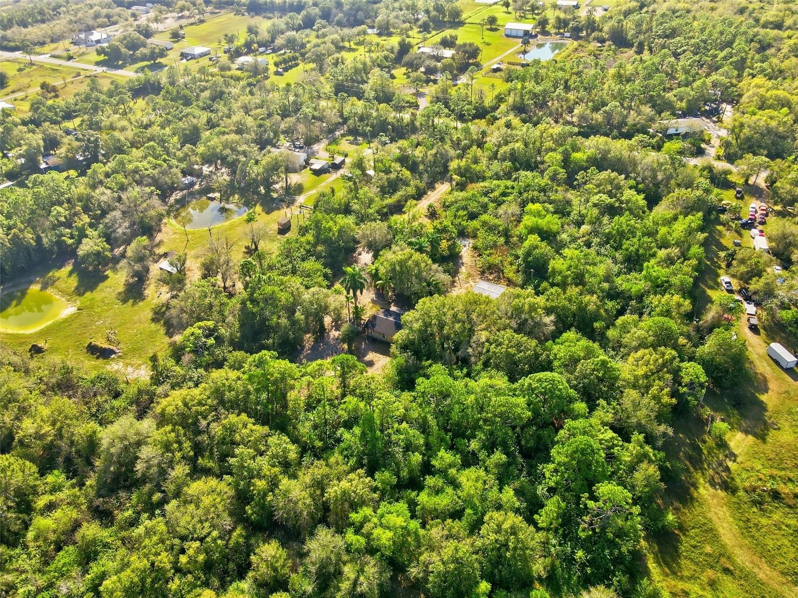 39970 LITTLE FARM RD, PUNTA GORDA, FL — photo 20