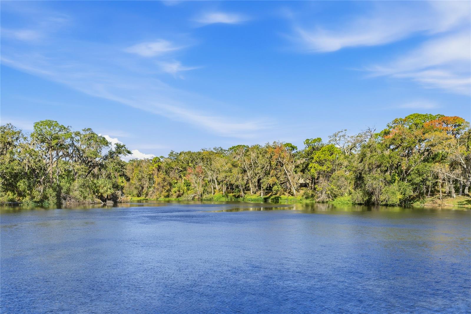 4870 TIVOLI CT, SARASOTA, FL — photo 45