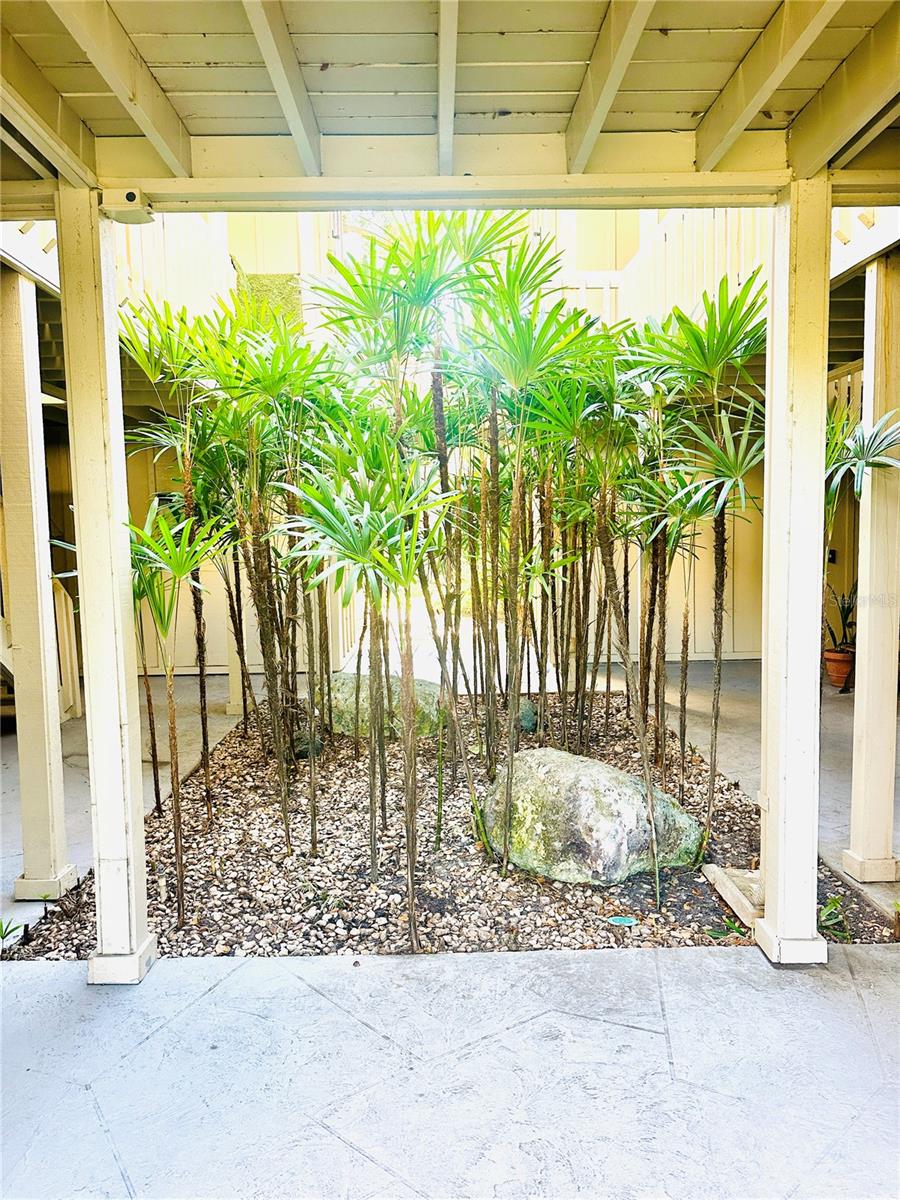 2200 BAHIA VISTA ST #B3, SARASOTA, FL — photo 2