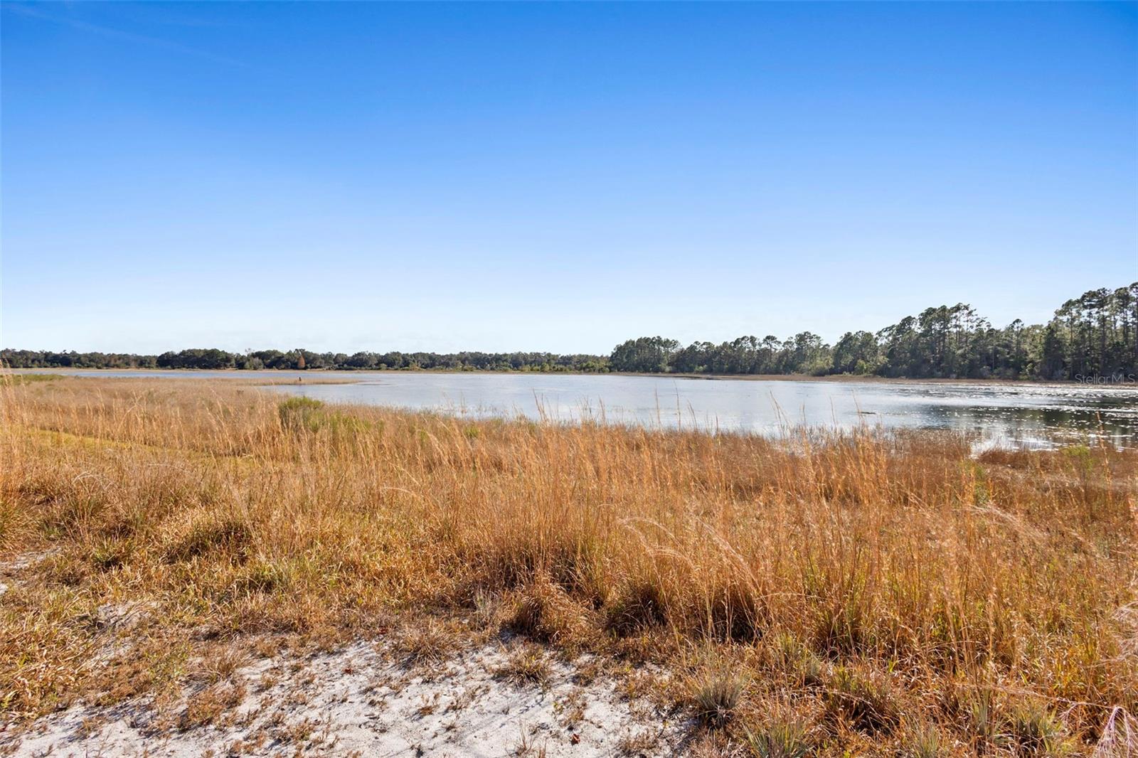TBD SE 256TH AVE, UMATILLA, FL — photo 4