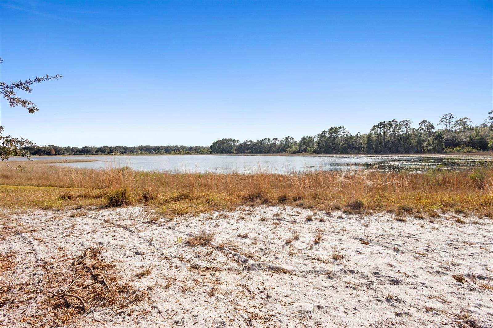 TBD SE 256TH AVE, UMATILLA, FL — photo 5