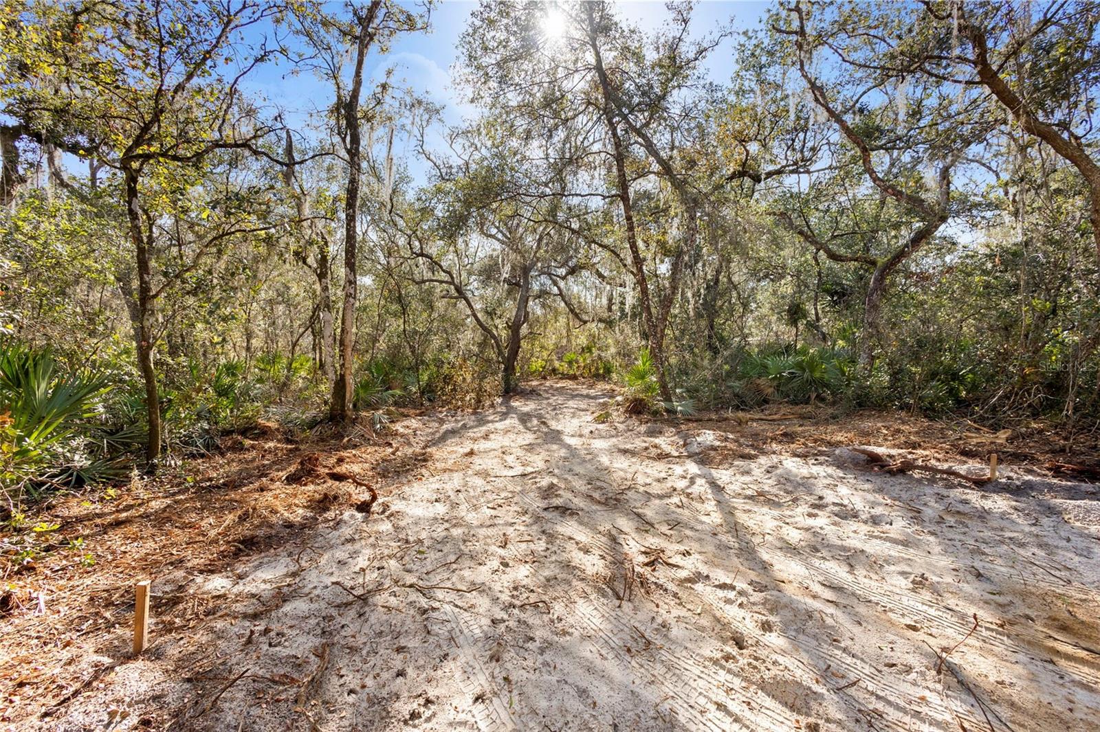 TBD SE 256TH AVE, UMATILLA, FL — photo 6