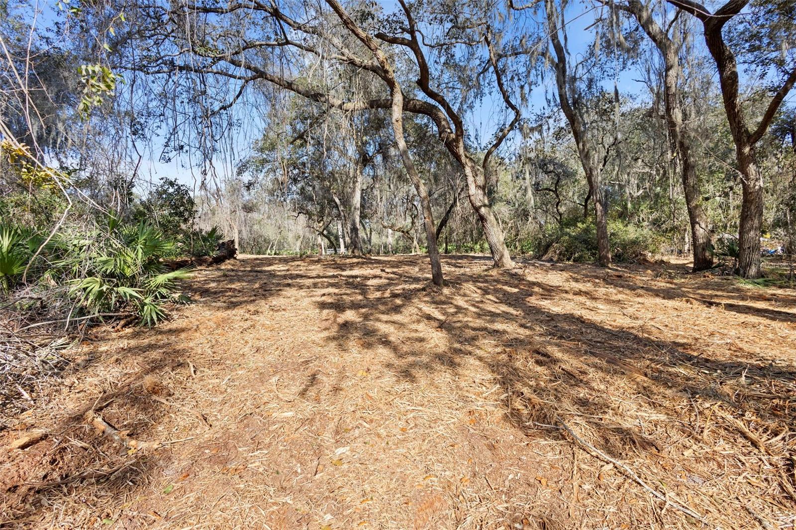 TBD SE 256TH AVE, UMATILLA, FL — photo 7