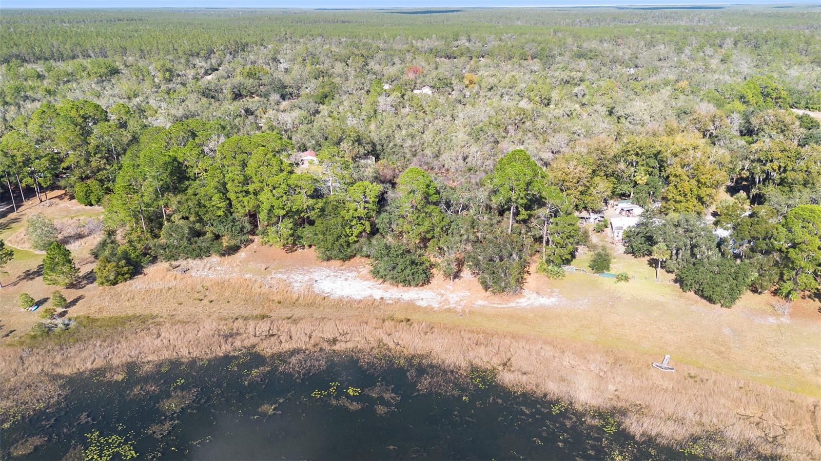 TBD SE 256TH AVE, UMATILLA, FL — photo 8