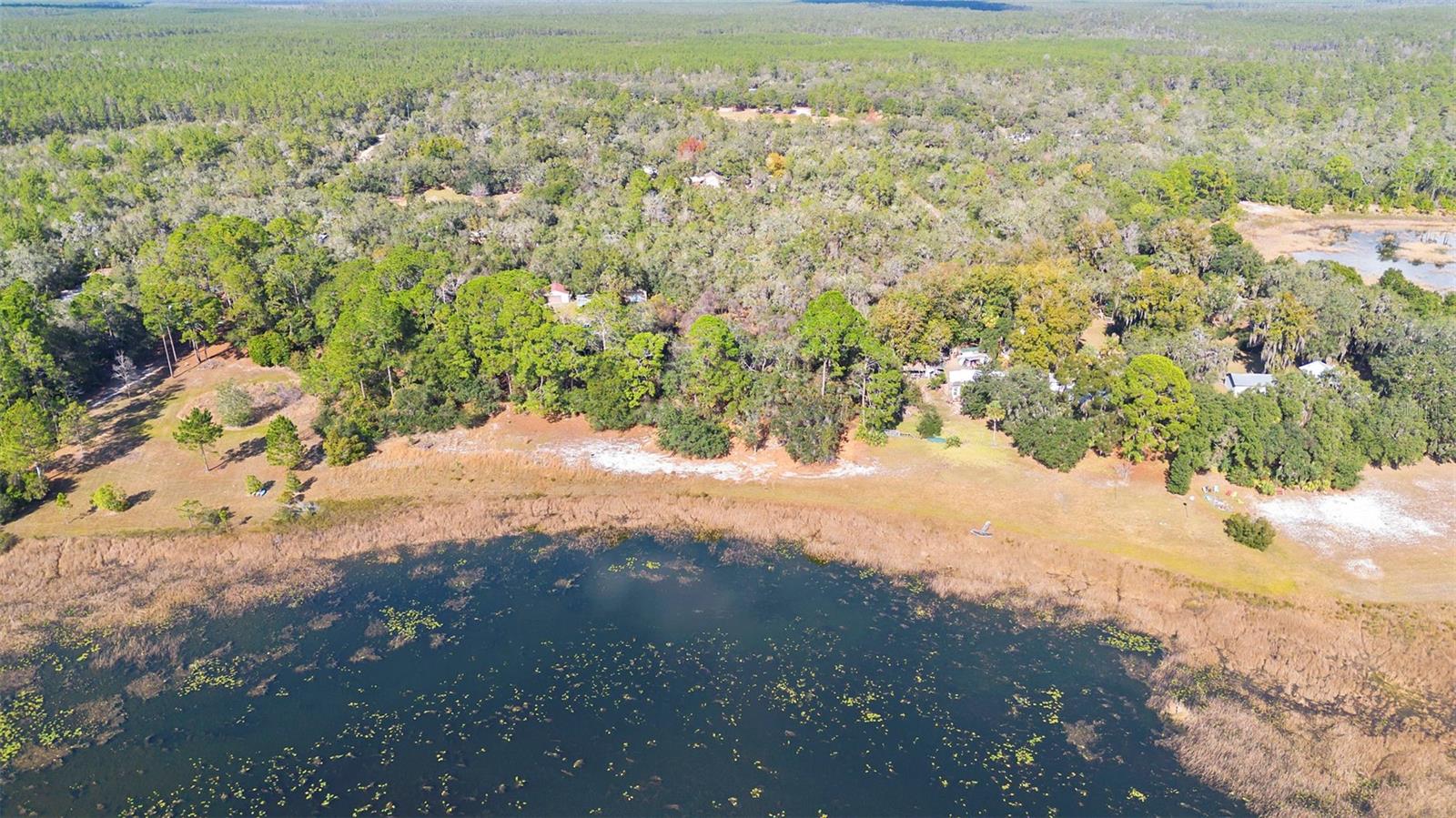 TBD SE 256TH AVE, UMATILLA, FL — photo 9