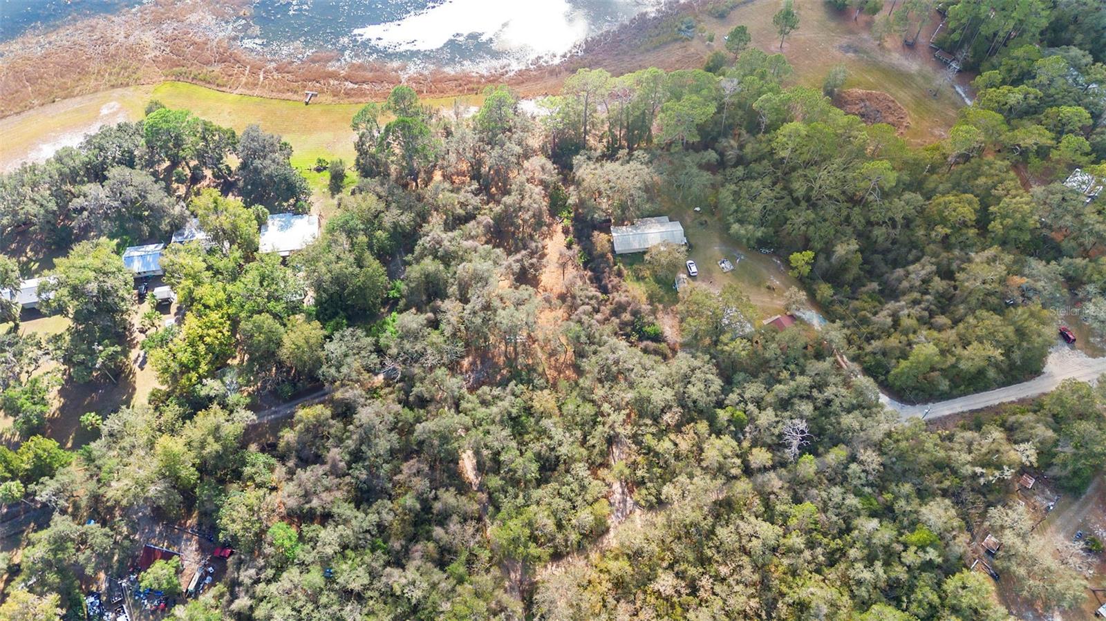 TBD SE 256TH AVE, UMATILLA, FL — photo 11