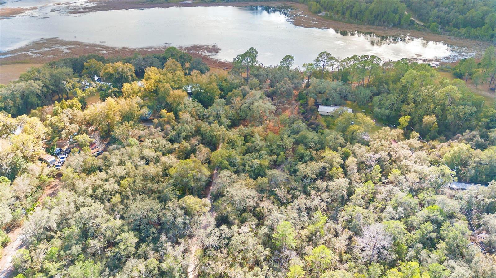 TBD SE 256TH AVE, UMATILLA, FL — photo 19