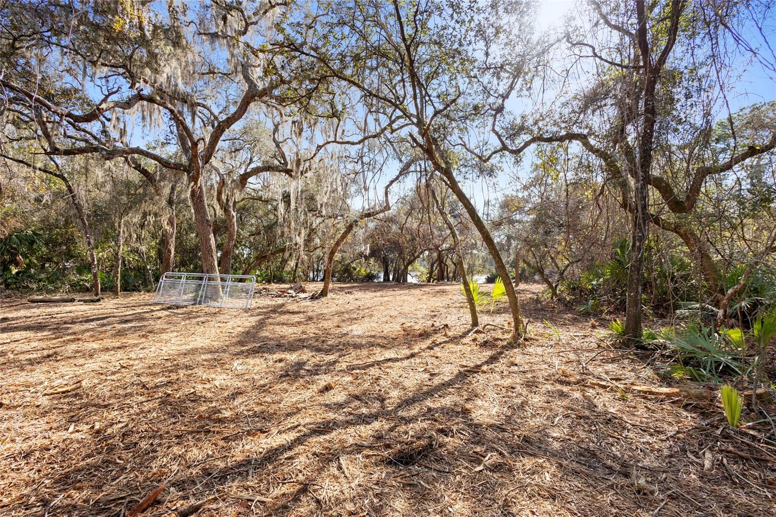 TBD SE 256TH AVE, UMATILLA, FL — photo 21