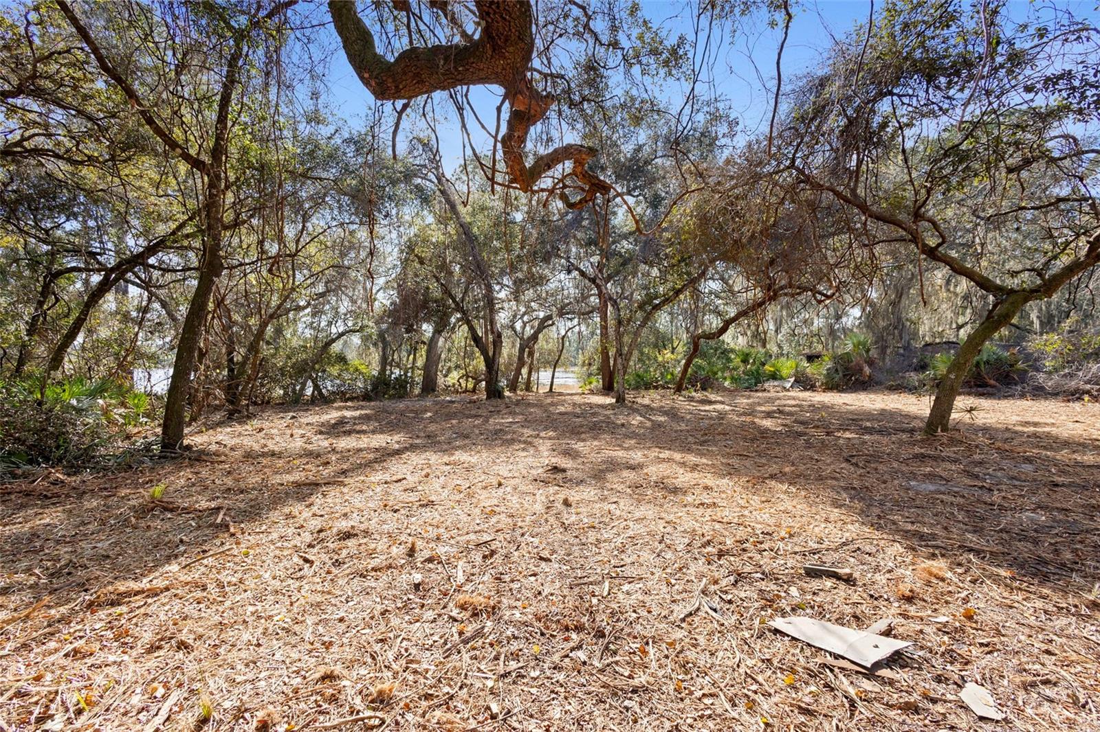 TBD SE 256TH AVE, UMATILLA, FL — photo 24
