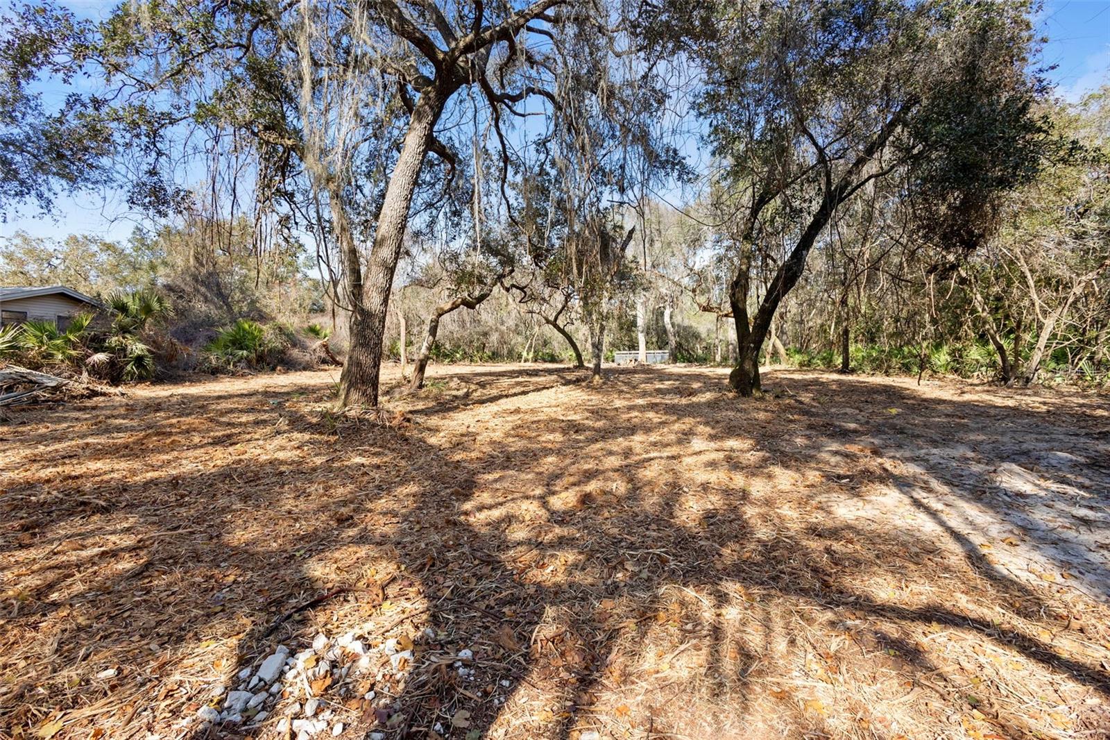 TBD SE 256TH AVE, UMATILLA, FL — photo 26