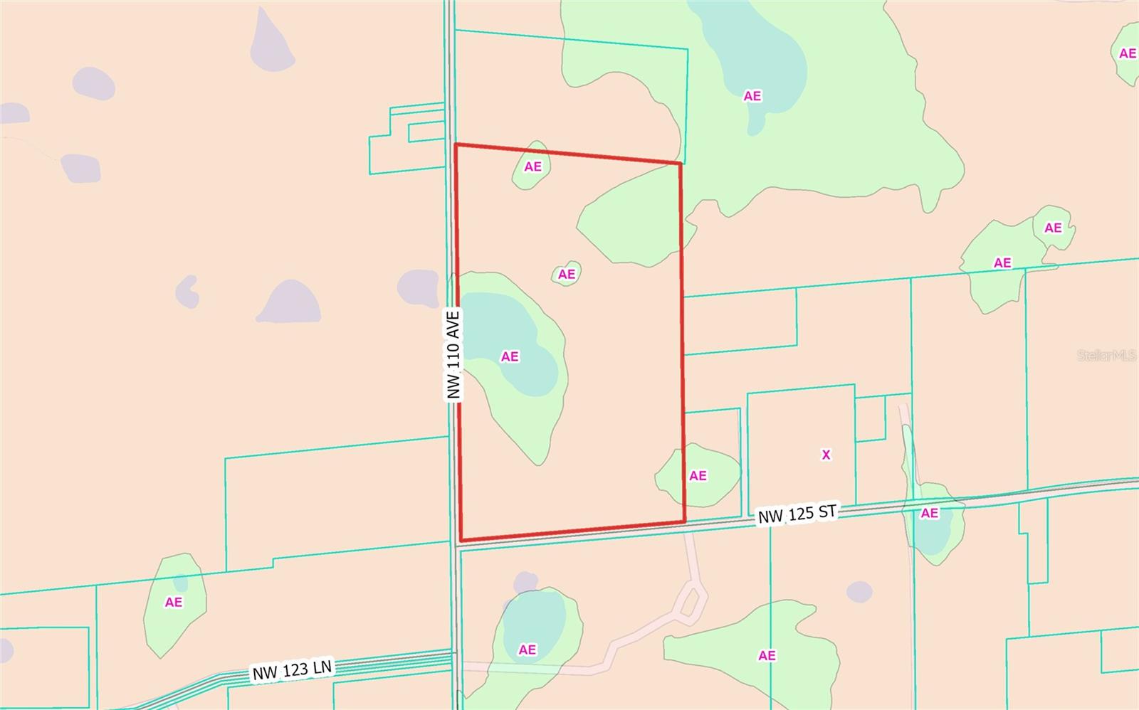 NW 110TH AVE, REDDICK, FL — photo 20