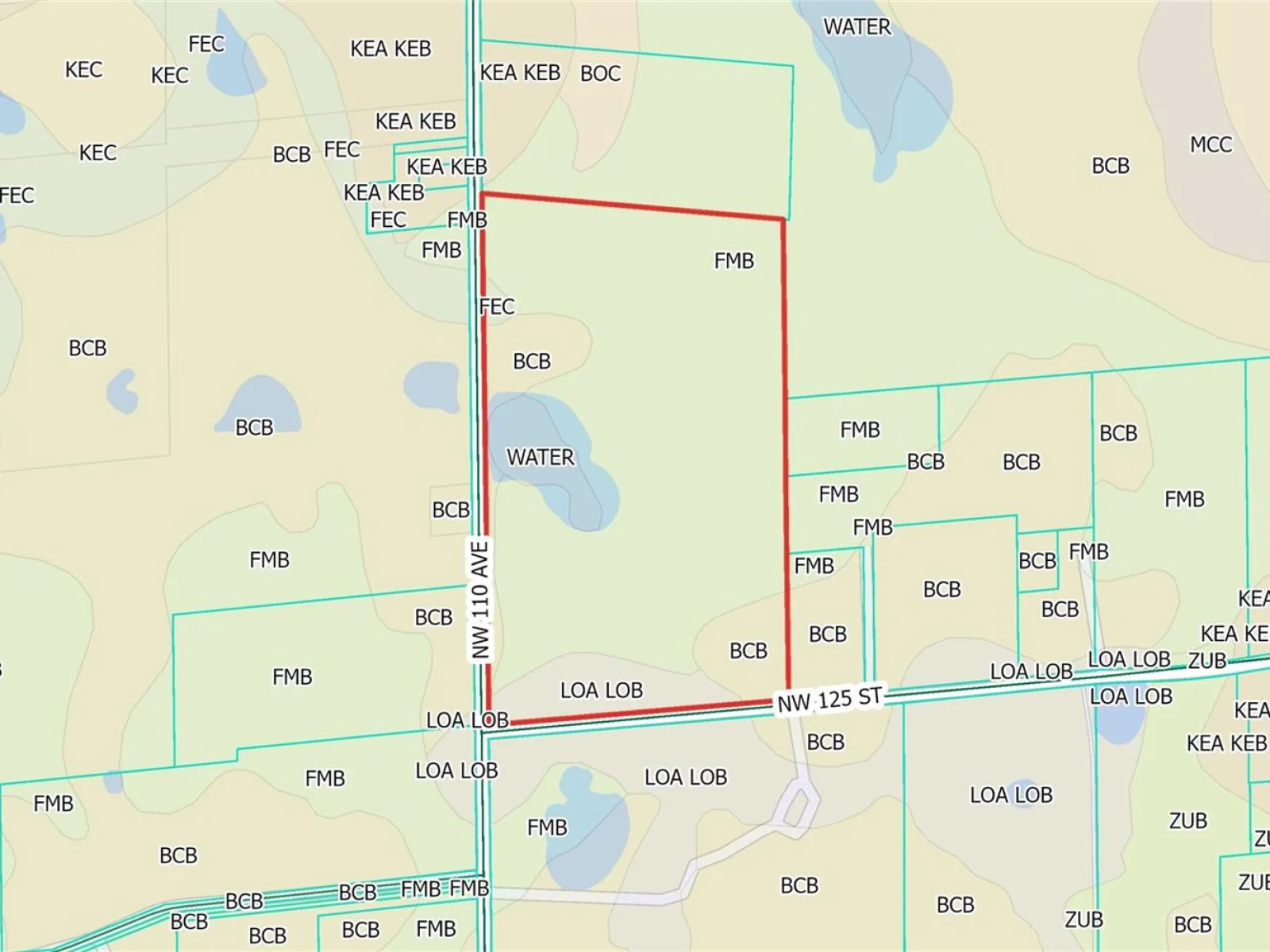 NW 110TH AVE, REDDICK, FL — photo 23