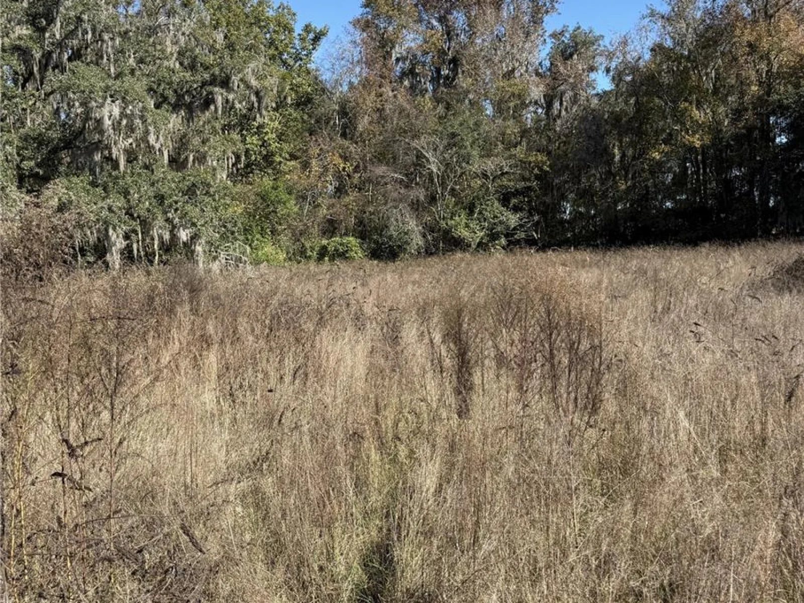 NW 110TH AVE, REDDICK, FL — photo 11
