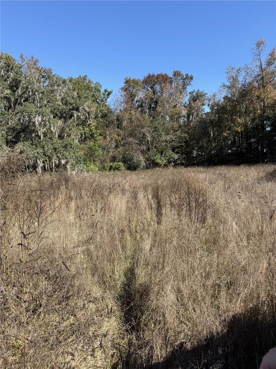 NW 110TH AVE, REDDICK, FL — photo 12