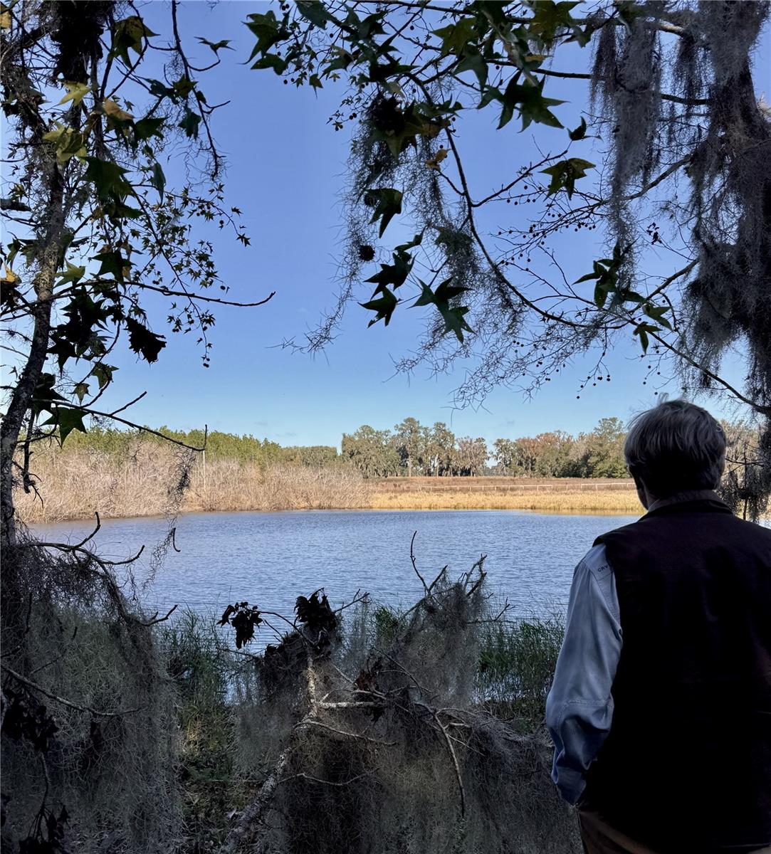 NW 110TH AVE, REDDICK, FL — photo 13