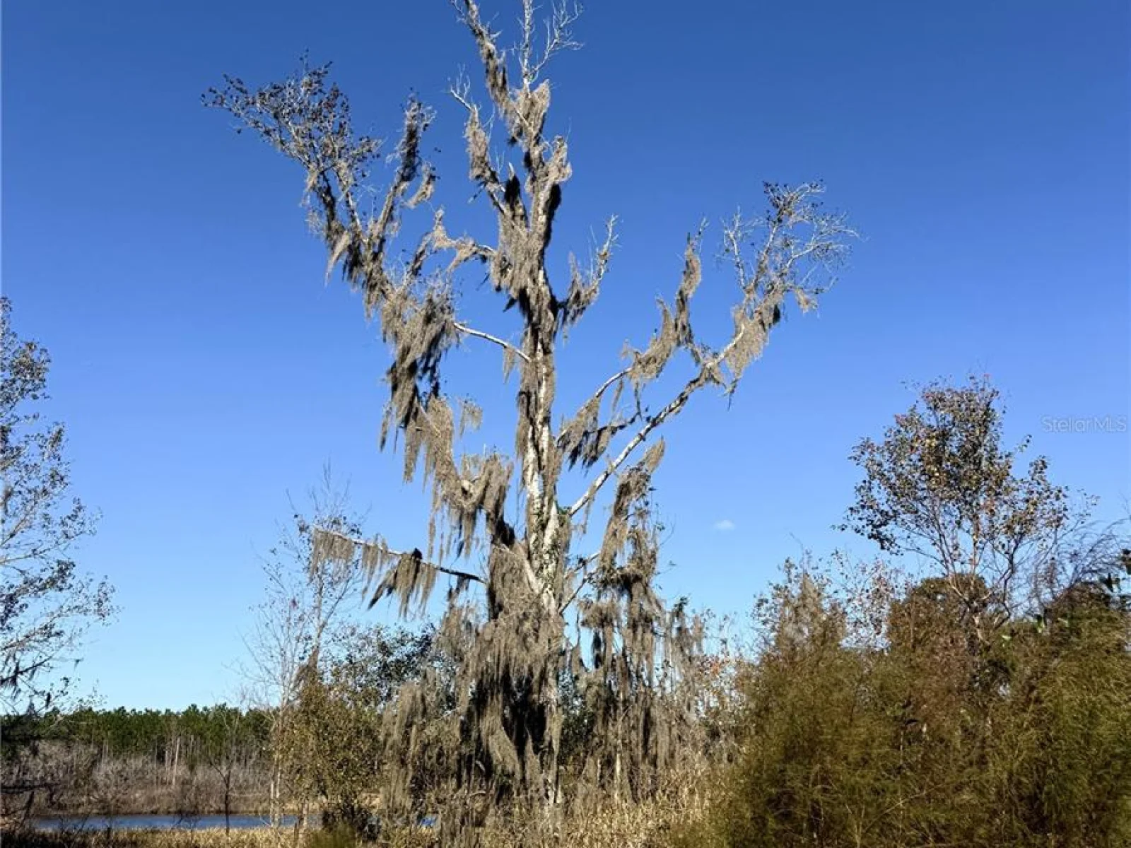 NW 110TH AVE, REDDICK, FL — photo 16