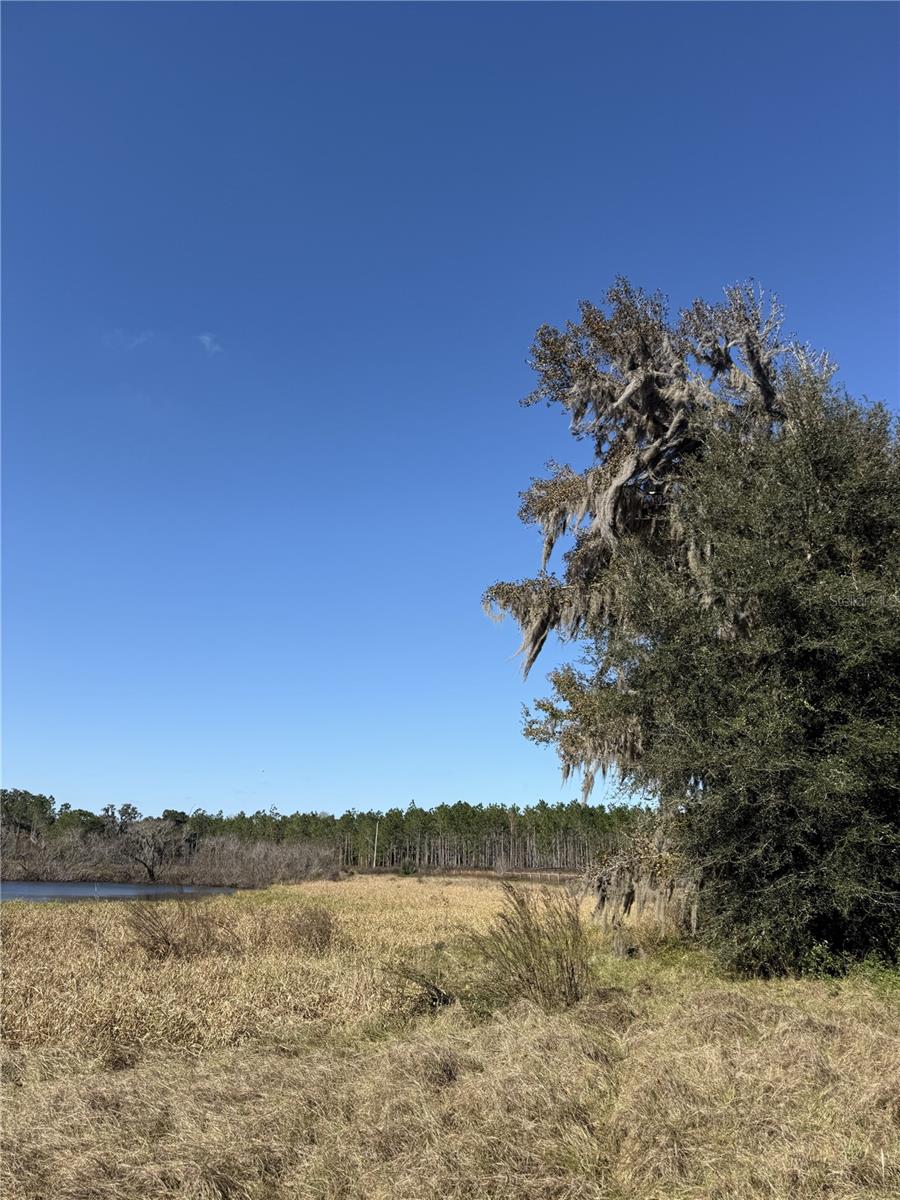 NW 110TH AVE, REDDICK, FL — photo 18