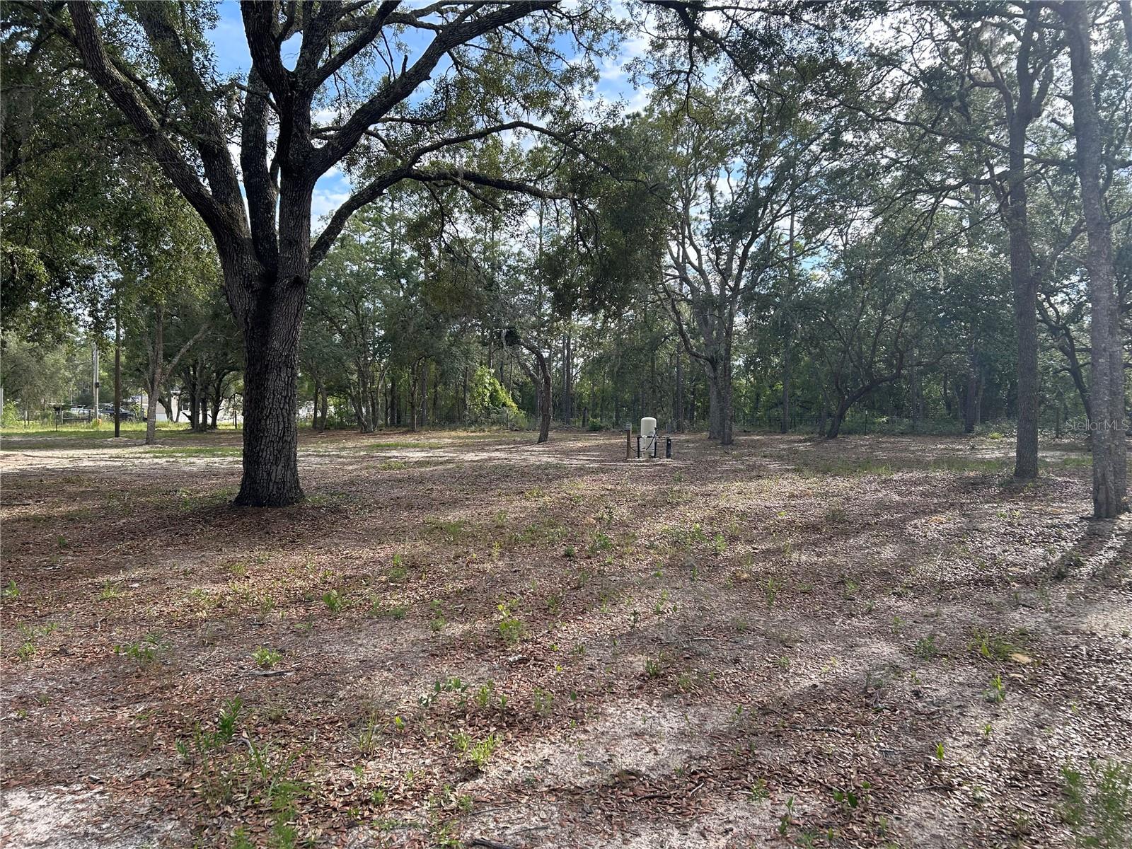 13751 NE 5TH ST, WILLISTON, FL — photo 16