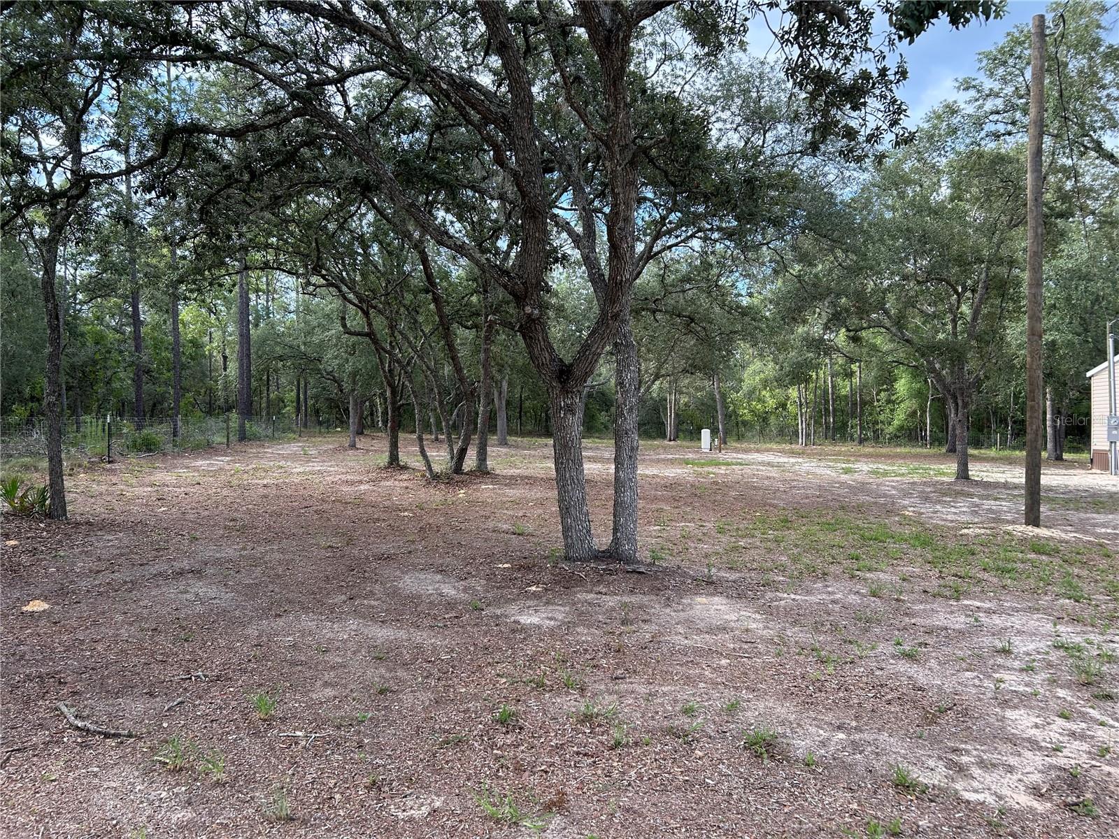 13751 NE 5TH ST, WILLISTON, FL — photo 17
