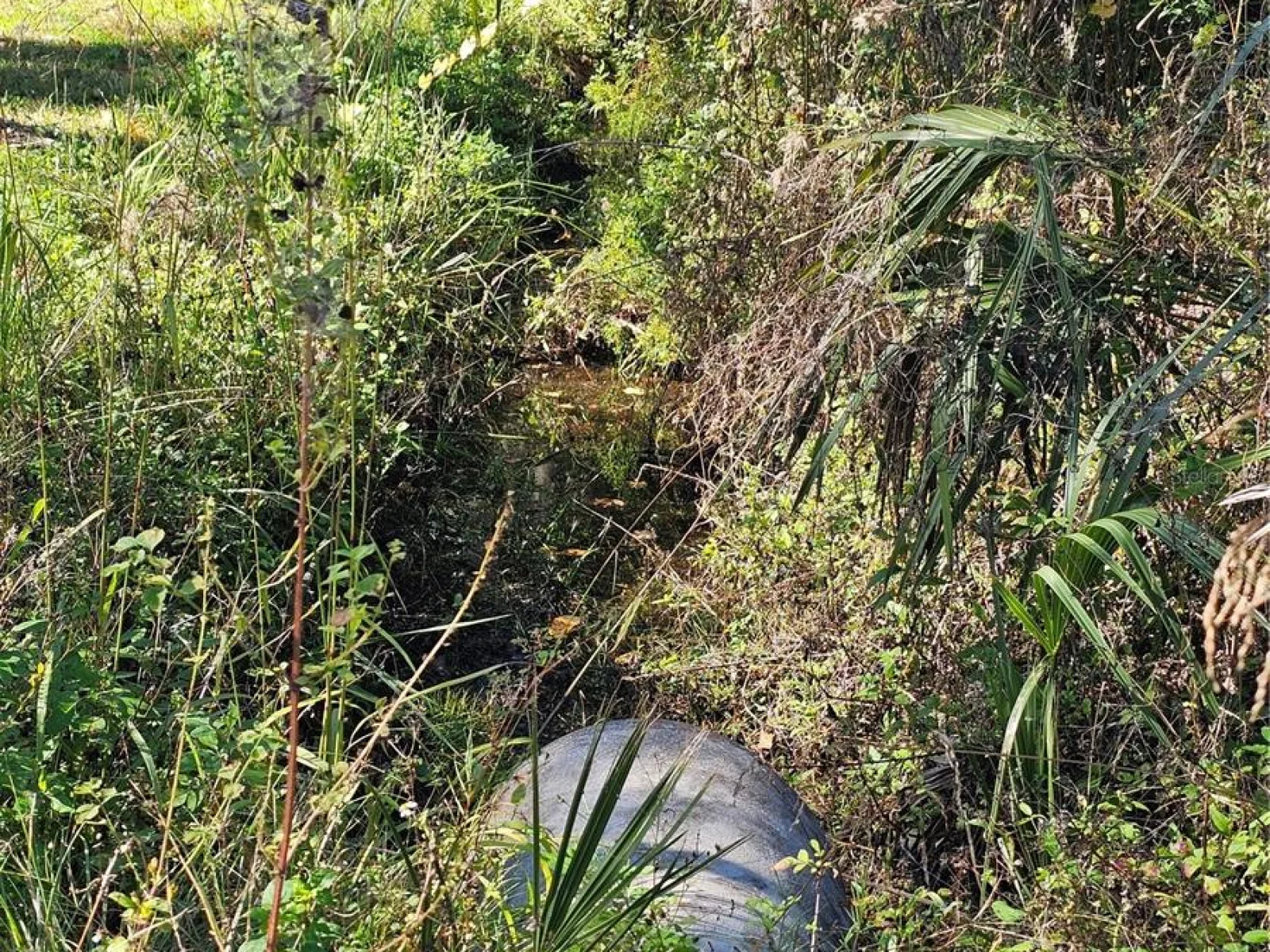 786 FORT FLORIDA RD, DEBARY, FL — photo 3