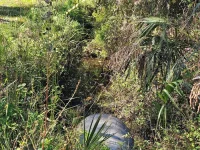 786 FORT FLORIDA RD — photo 3