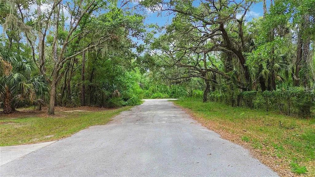 5018 N ANDRI DR, CRYSTAL RIVER, FL — photo 4