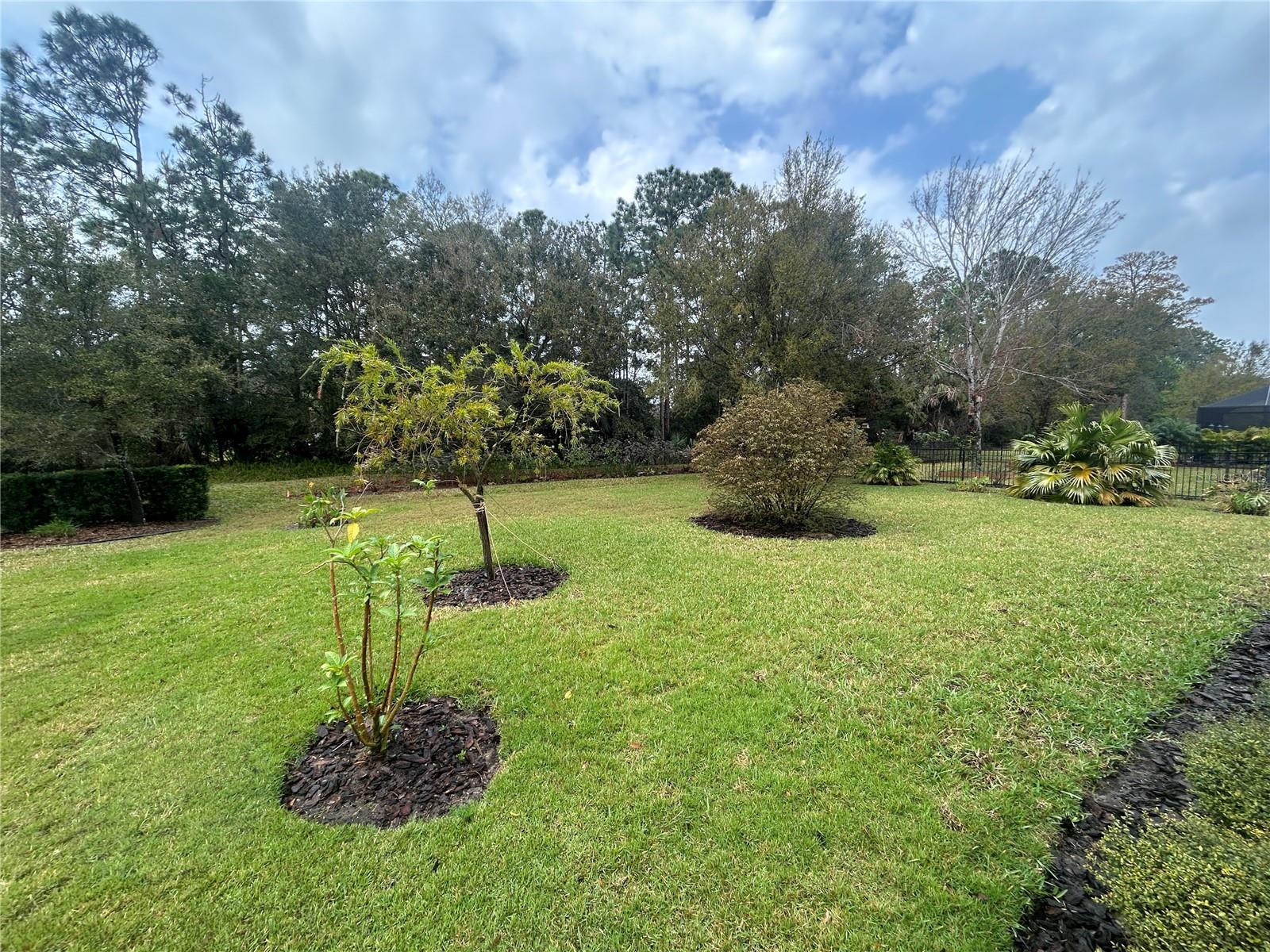 665 ELK RIVER DR, ORMOND BEACH, FL — photo 2