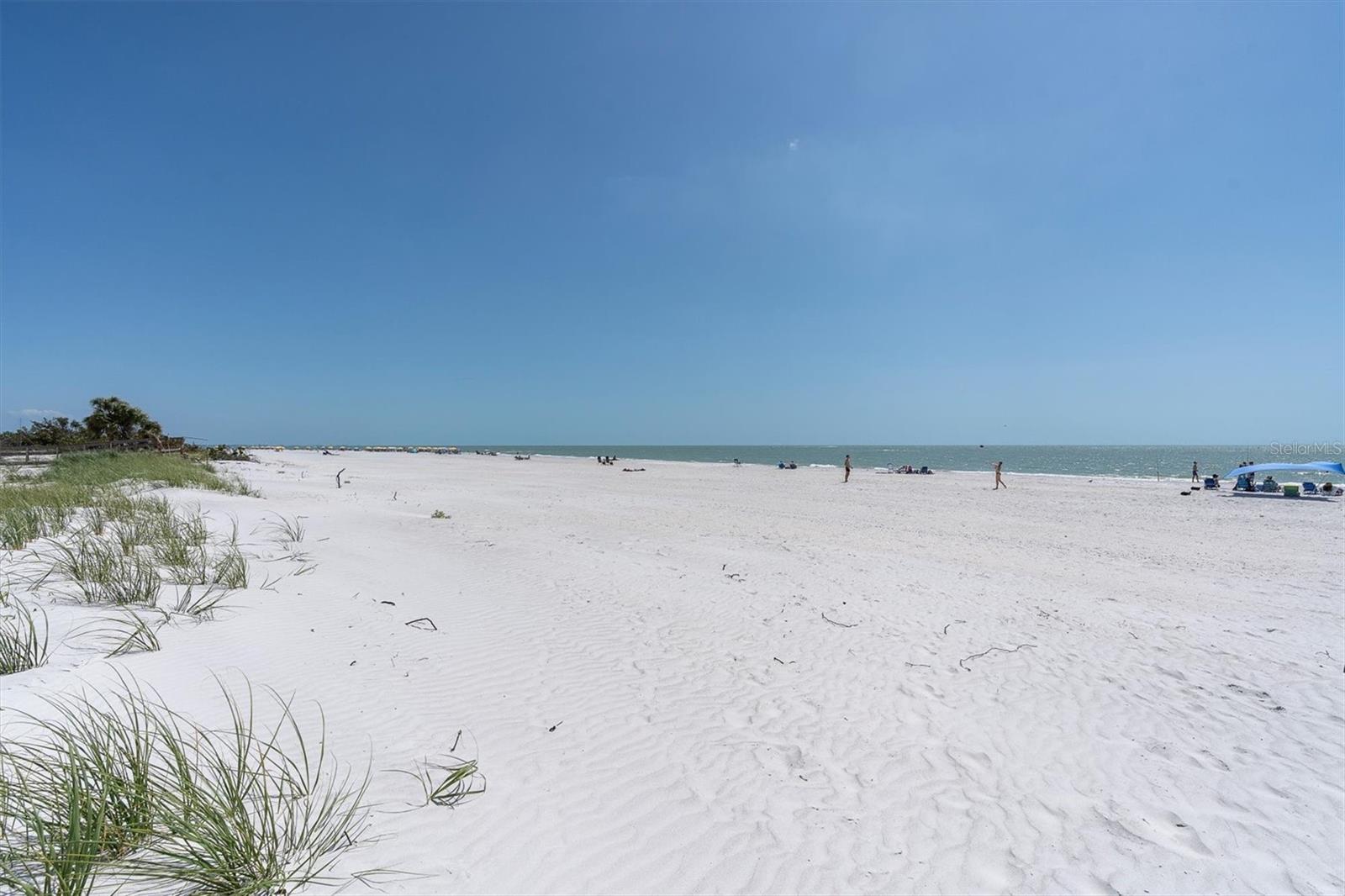 12274 1ST ST W #2, TREASURE ISLAND, FL — photo 39