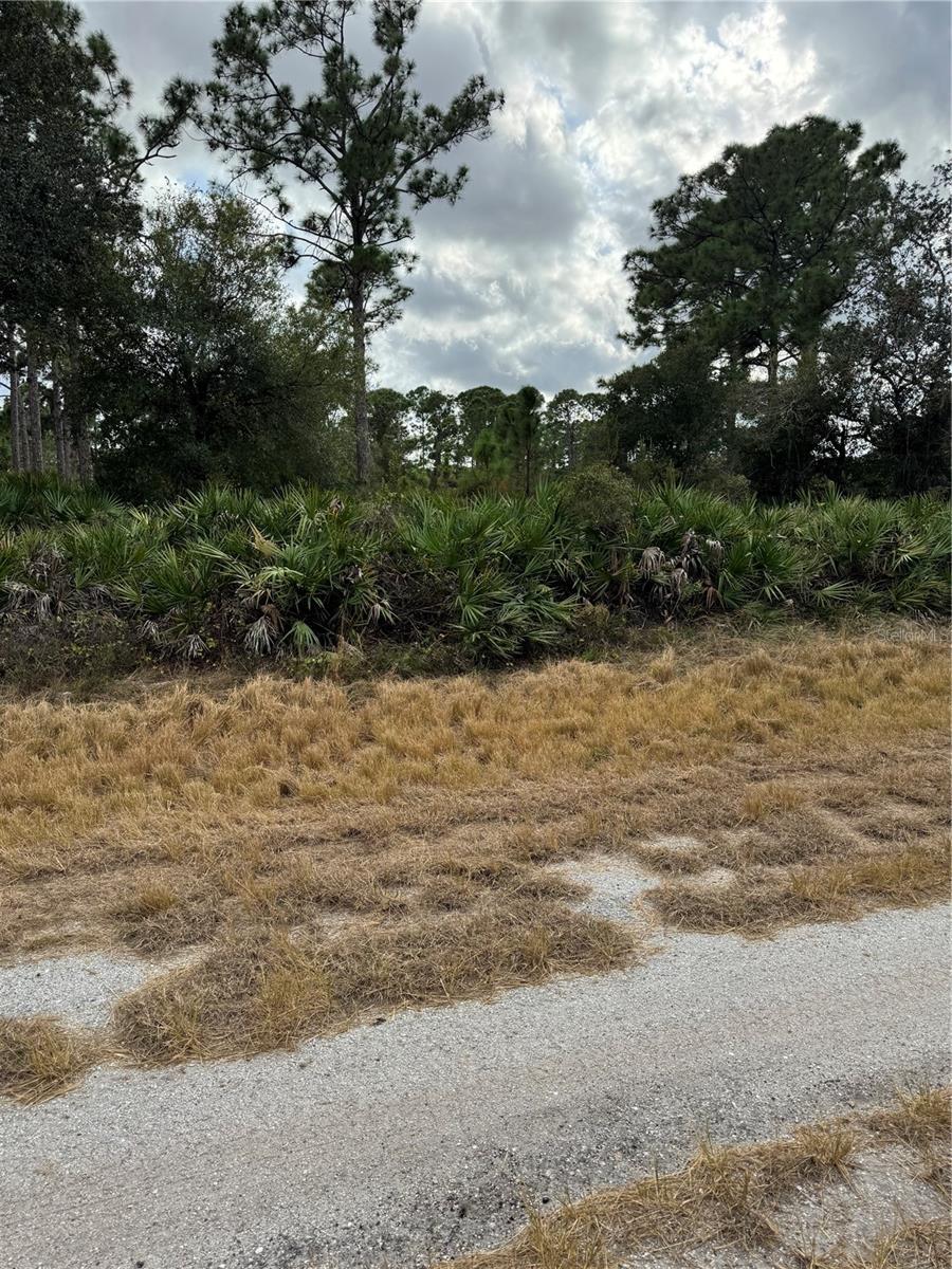 BROWARD AVE, NORTH PORT, FL — photo 3